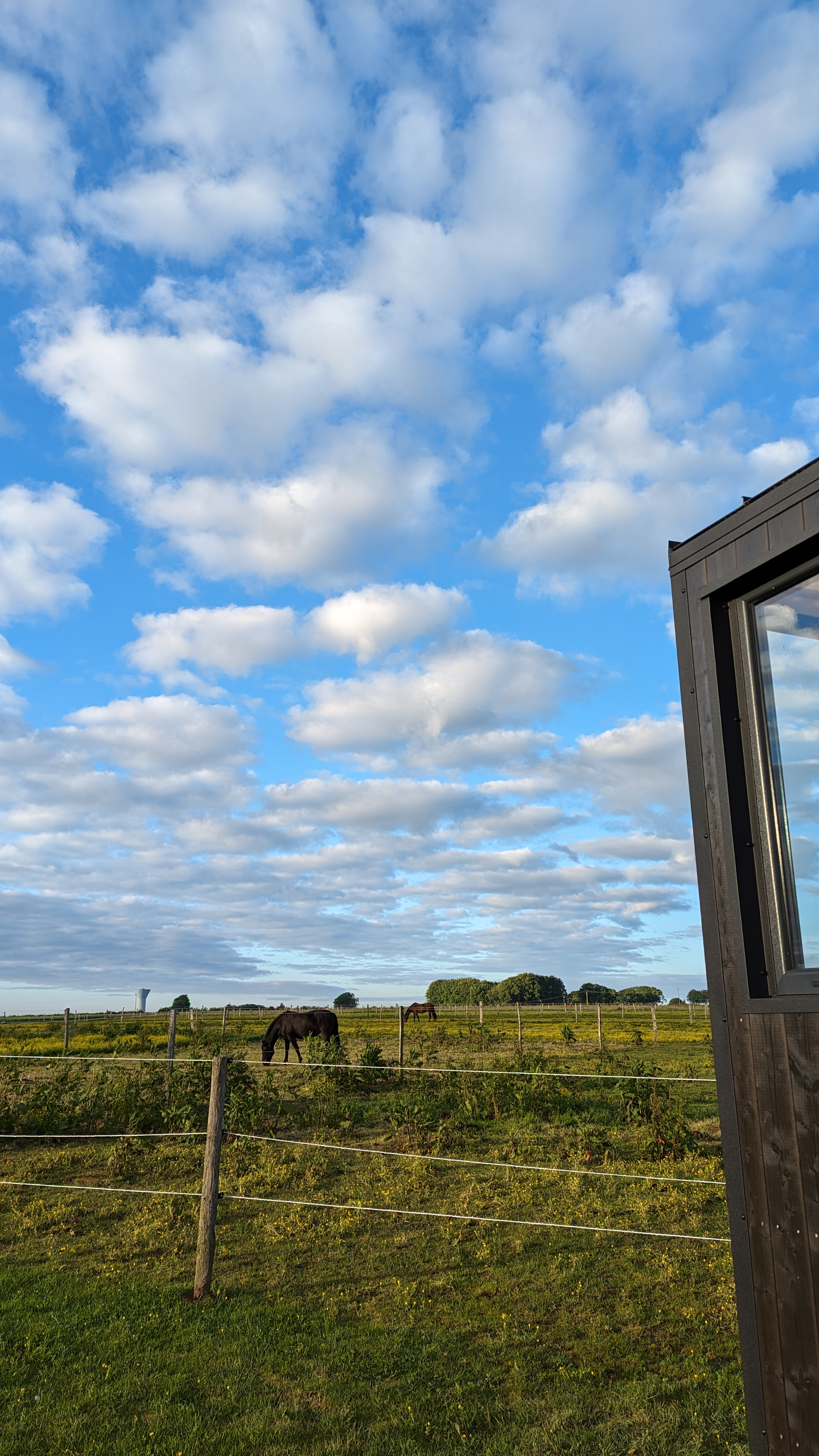Tiny House La Cavalerie : une évasion en pleine nature à Etretat — détail architectural