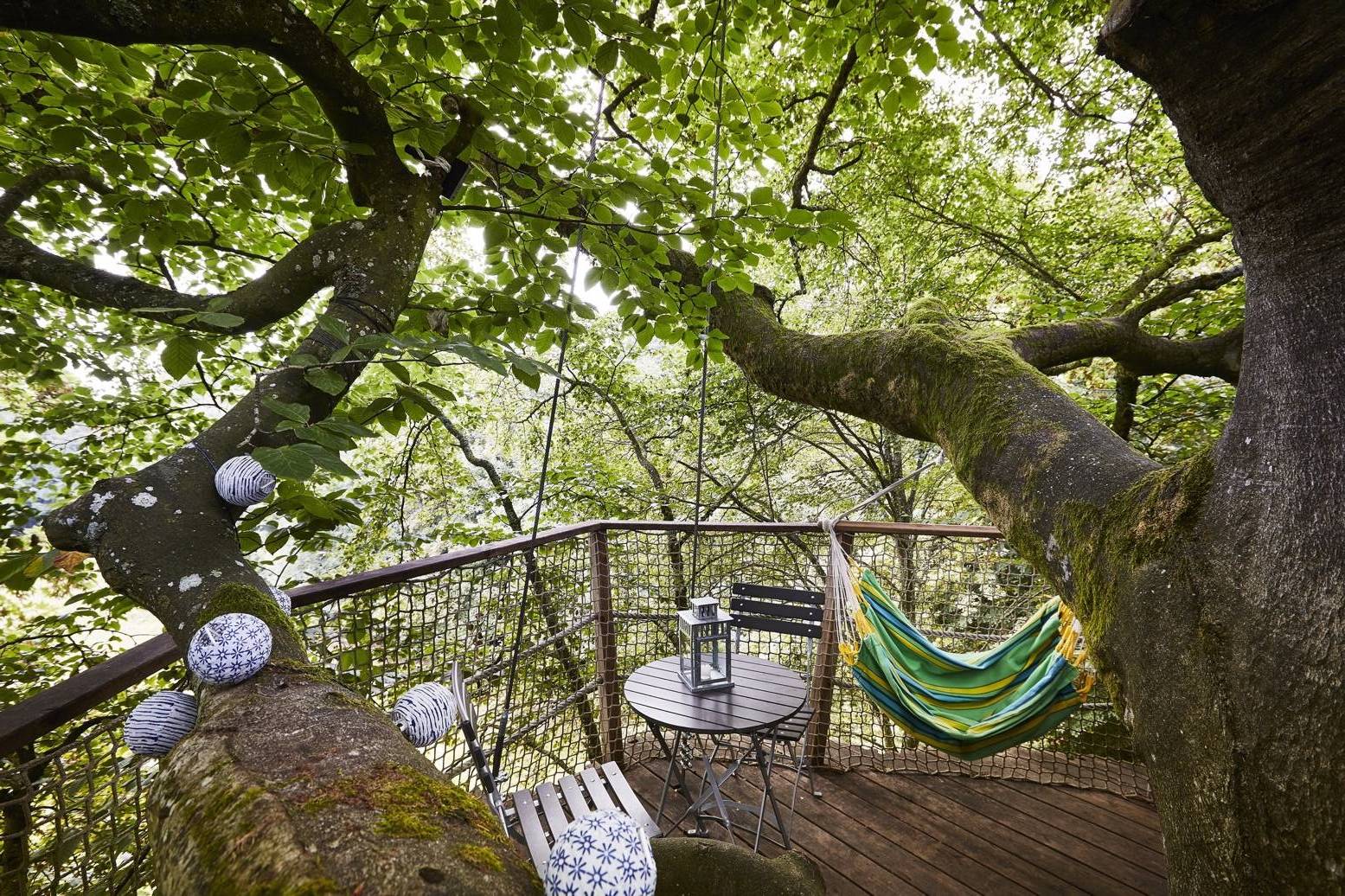 Une cabane perchée au cœur de la Basse-Normandie