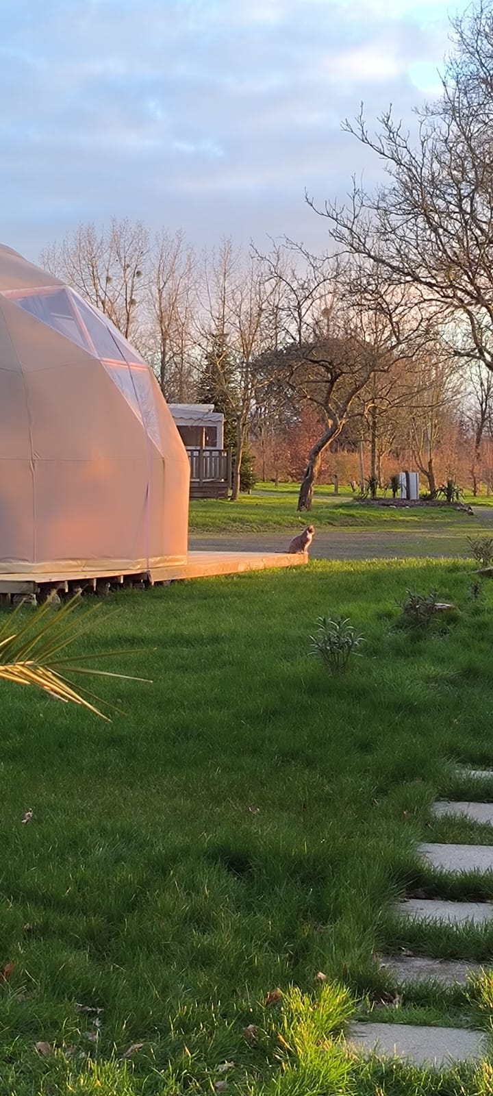 Chalet cosy avec spa privatif : une évasion en Pays de la Loire à Aizenay — chambre