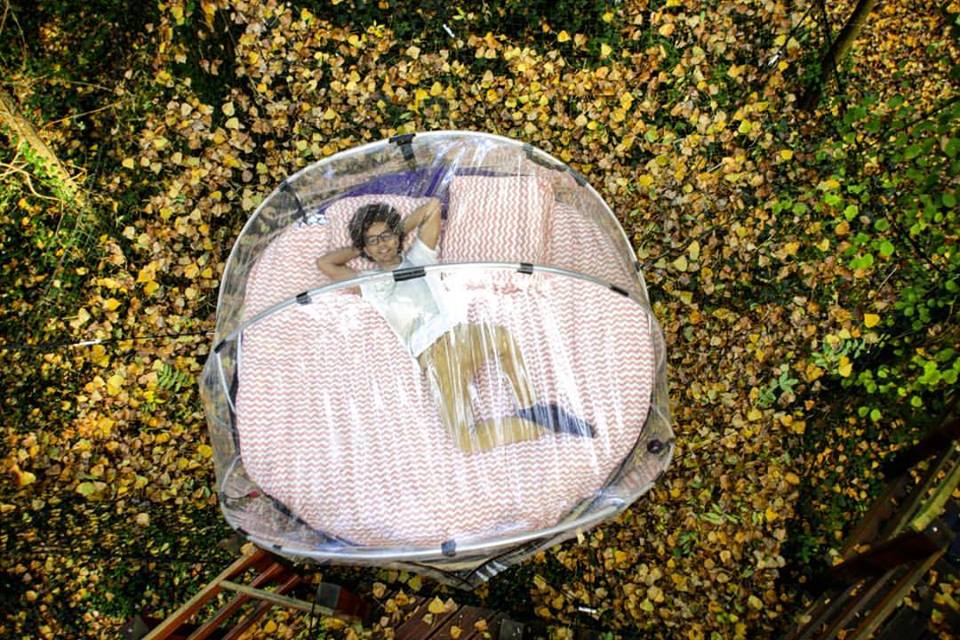 Bulle Sauvage — Nuit perchée à 2m dans les arbres en Seine-et-Marne à Noisy-Sur-École — chambre