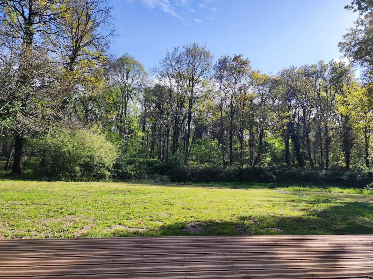 La Démaillère — Cabane avec bain nordique à Loiret à La Ferté-Saint-Aubin — vue depuis la terrasse