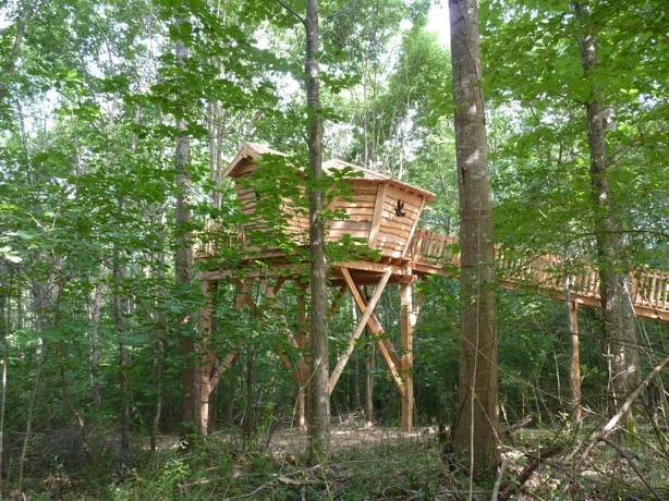 Diane : une cabane dans les arbres au cœur de l'Aquitaine à Loubieng — environnement naturel