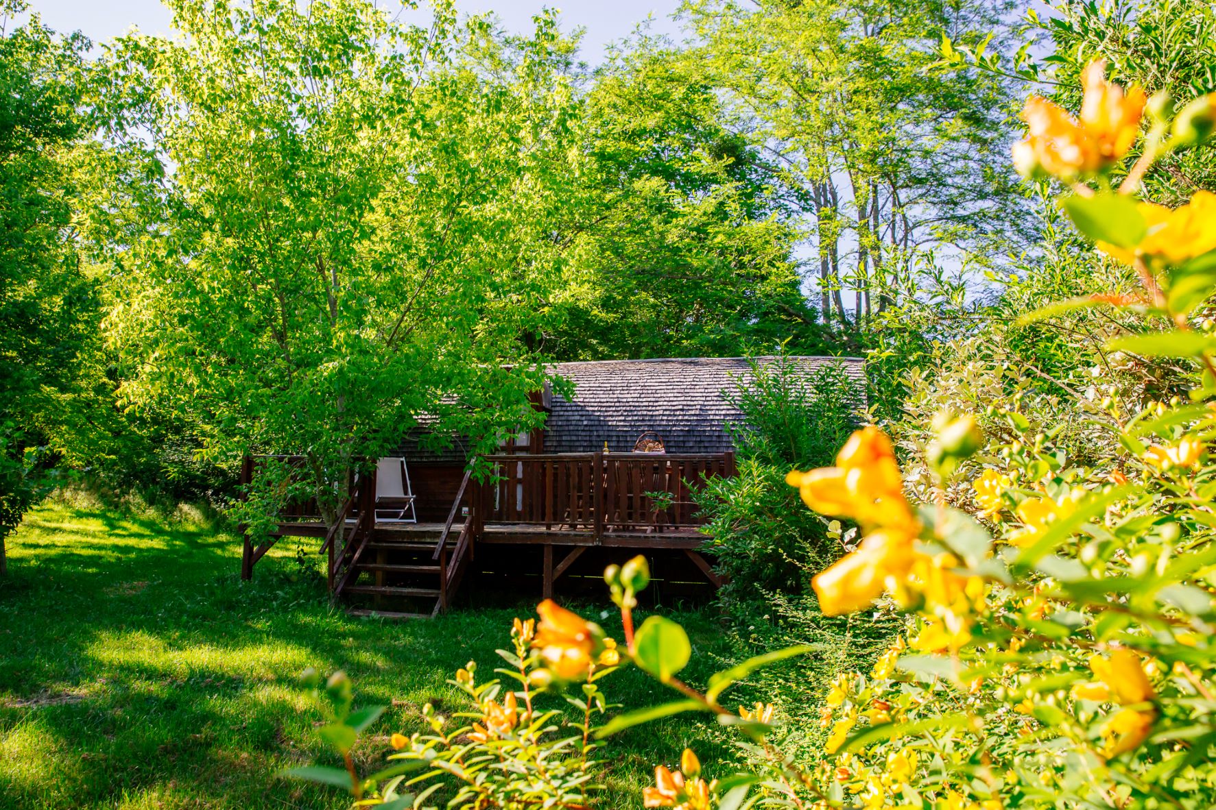 Roulotte viticole : une escapade sensorielle en Aquitaine à Le Nizan — espace de vie