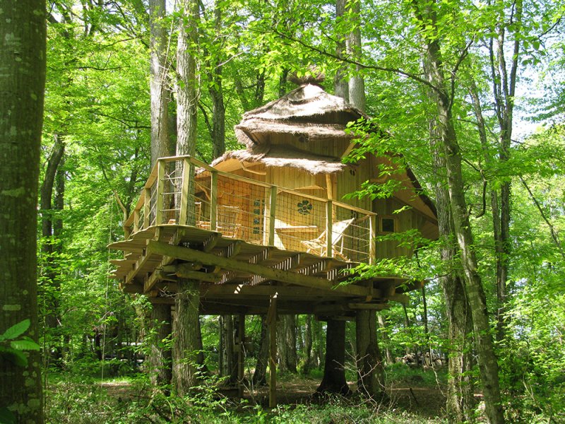 Cabane des Lutins : une échappée enchantée dans les arbres