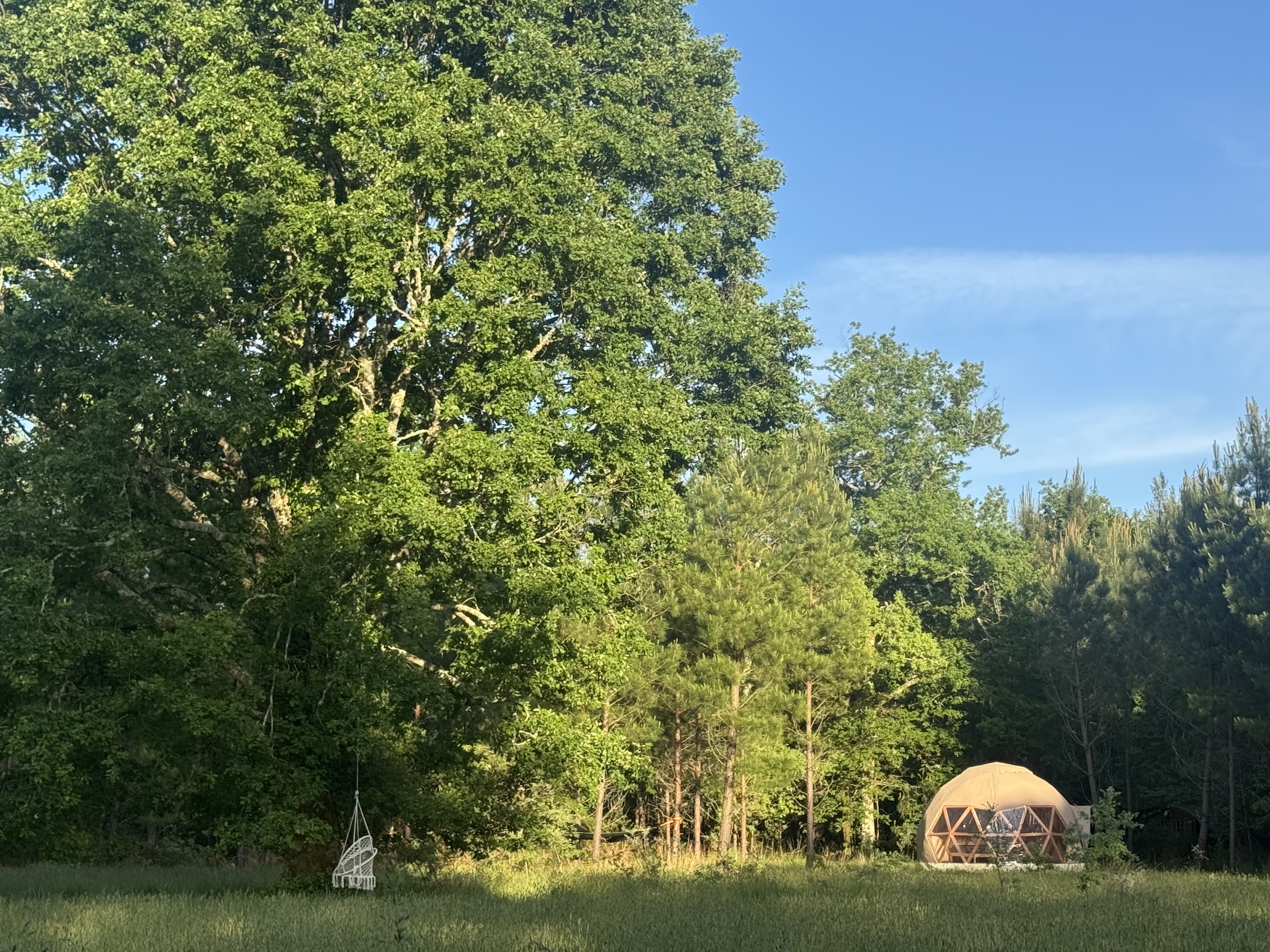 Dôme d'Amagui — Dôme géodésique au cœur de la forêt Landaise à Mérignac — salle de bain