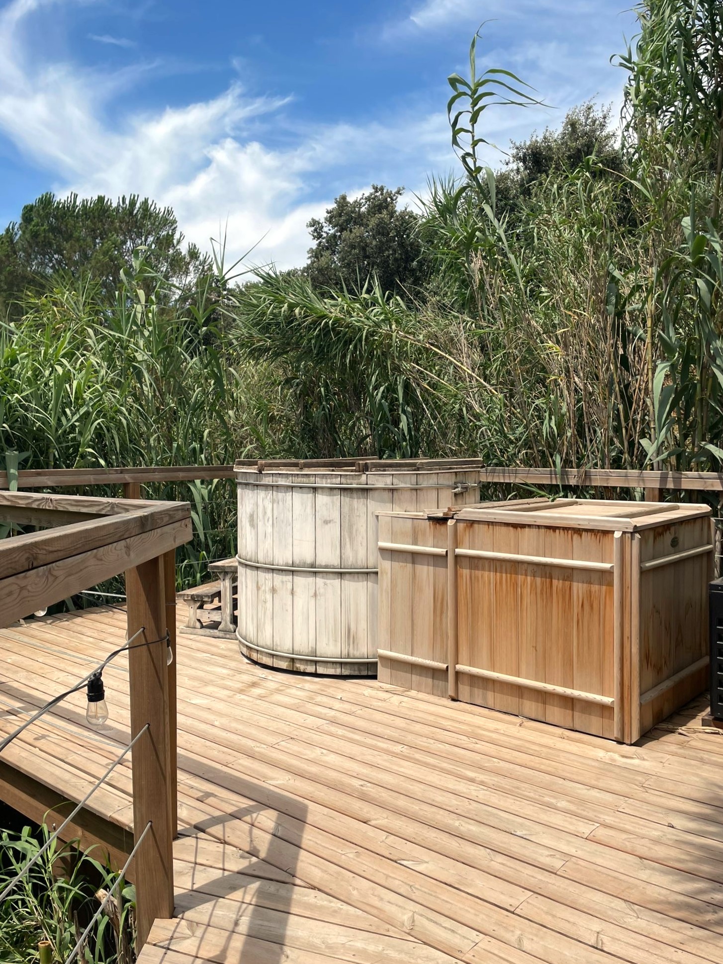 Cabane Spa Cosmos : une évasion végétalisée en Provence à Sorgues — cuisine