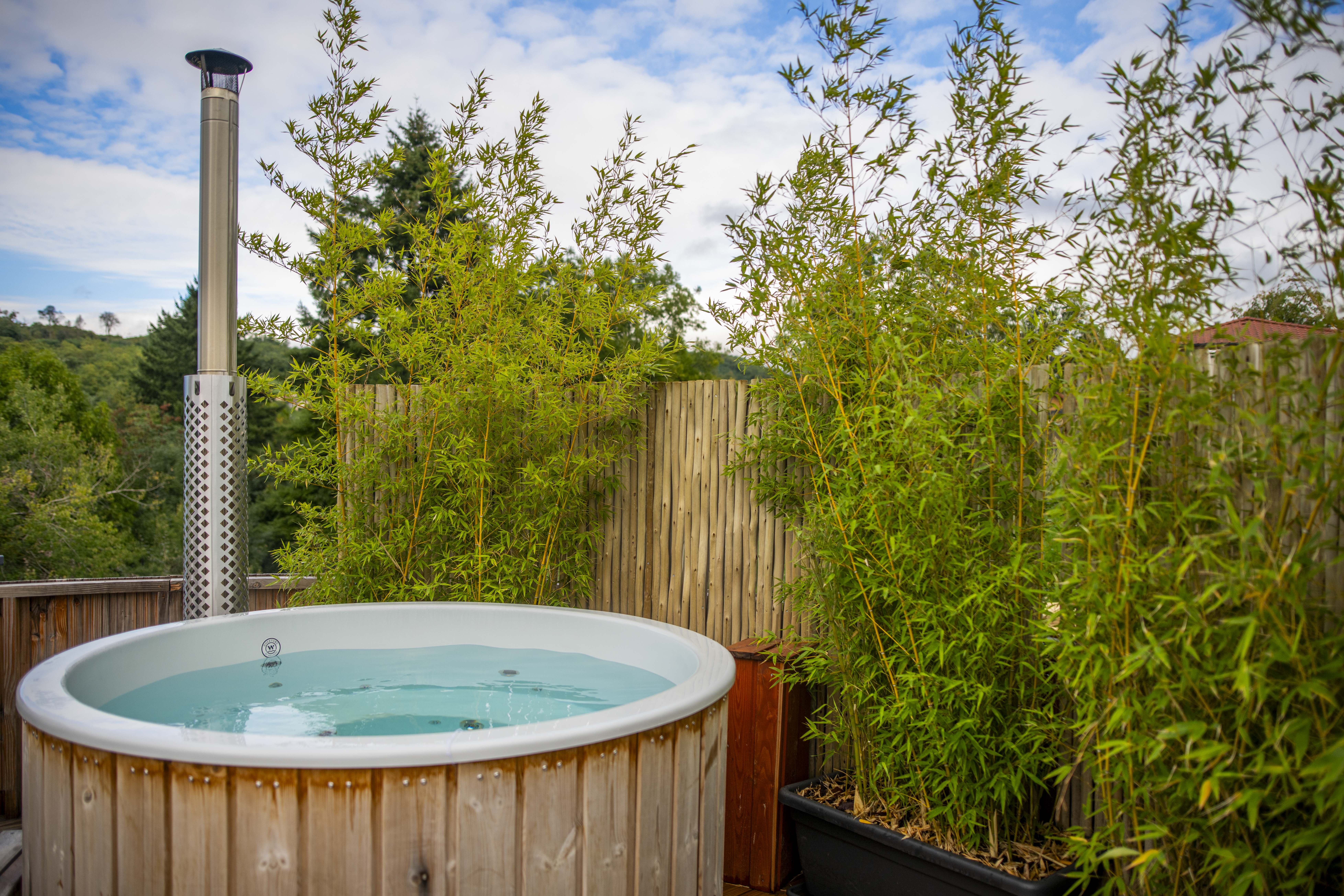 Lodge SPA & Sauna Zen : une cabane sur pilotis au cœur des Alpes à Gillonnay — vue depuis la terrasse