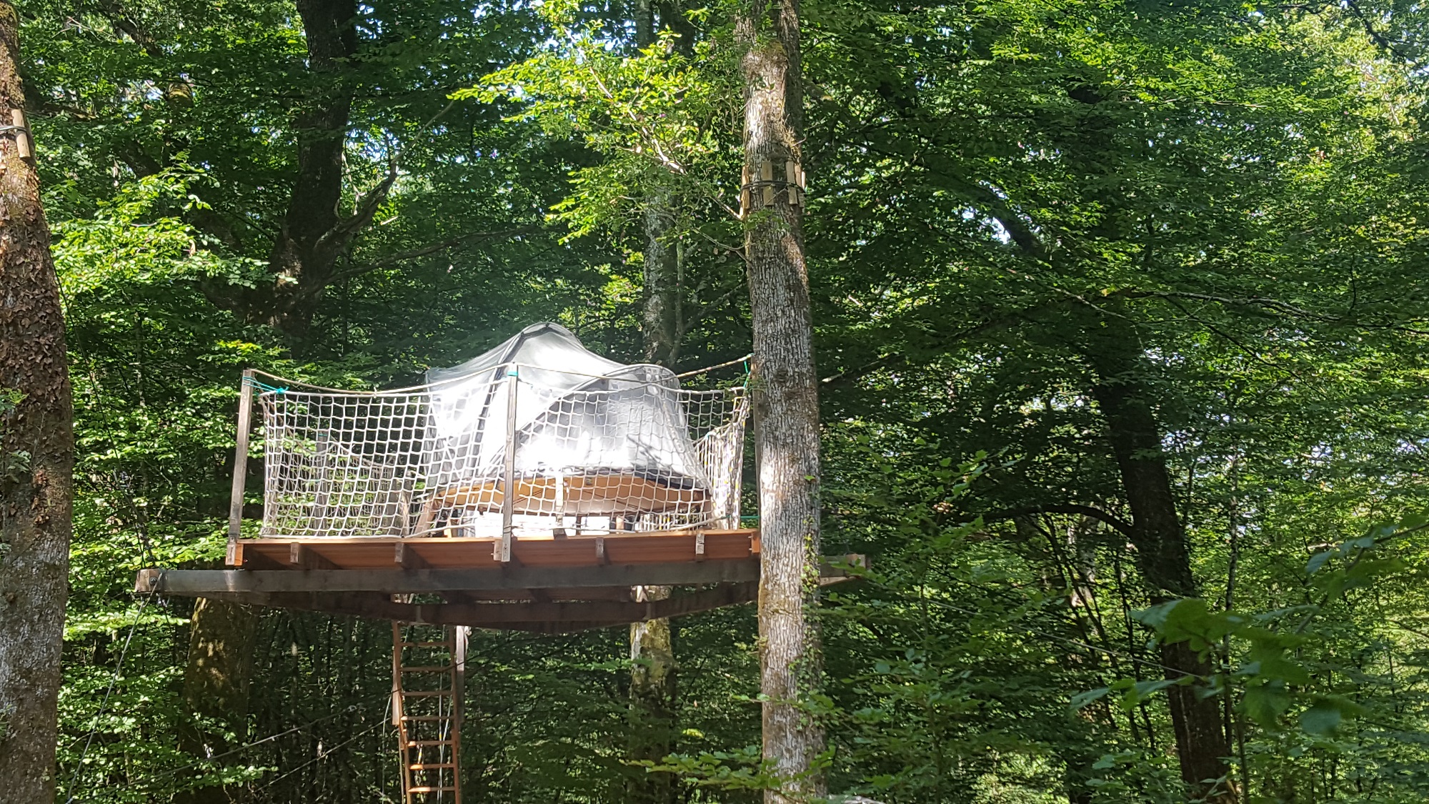 Vivez l'expérience unique d'une nuit dans une bulle suspendue en Franche-Comté — Bulle à Mont Sous Vaudrey