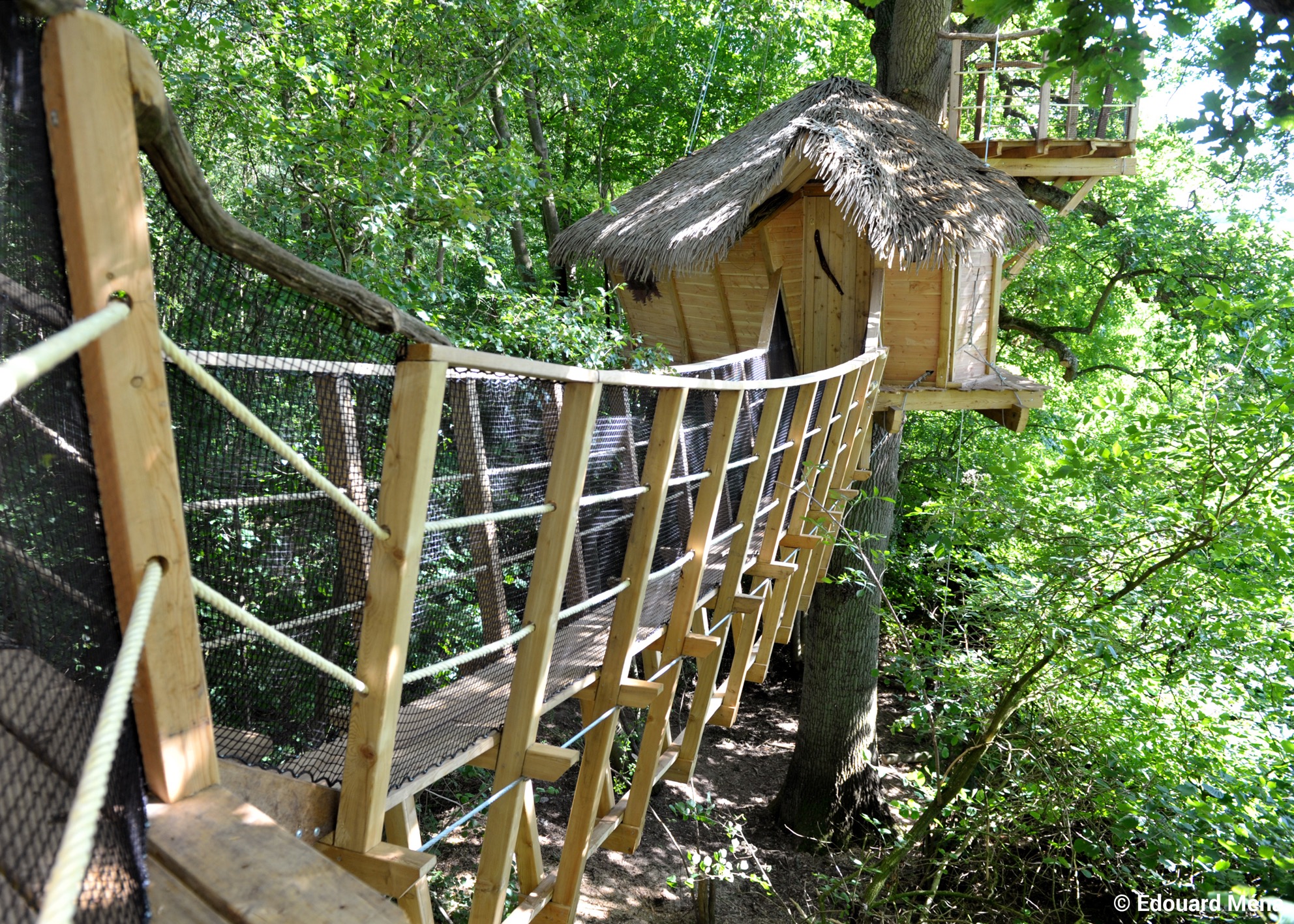 Baron perché : une cabane dans les arbres pour une expérience unique