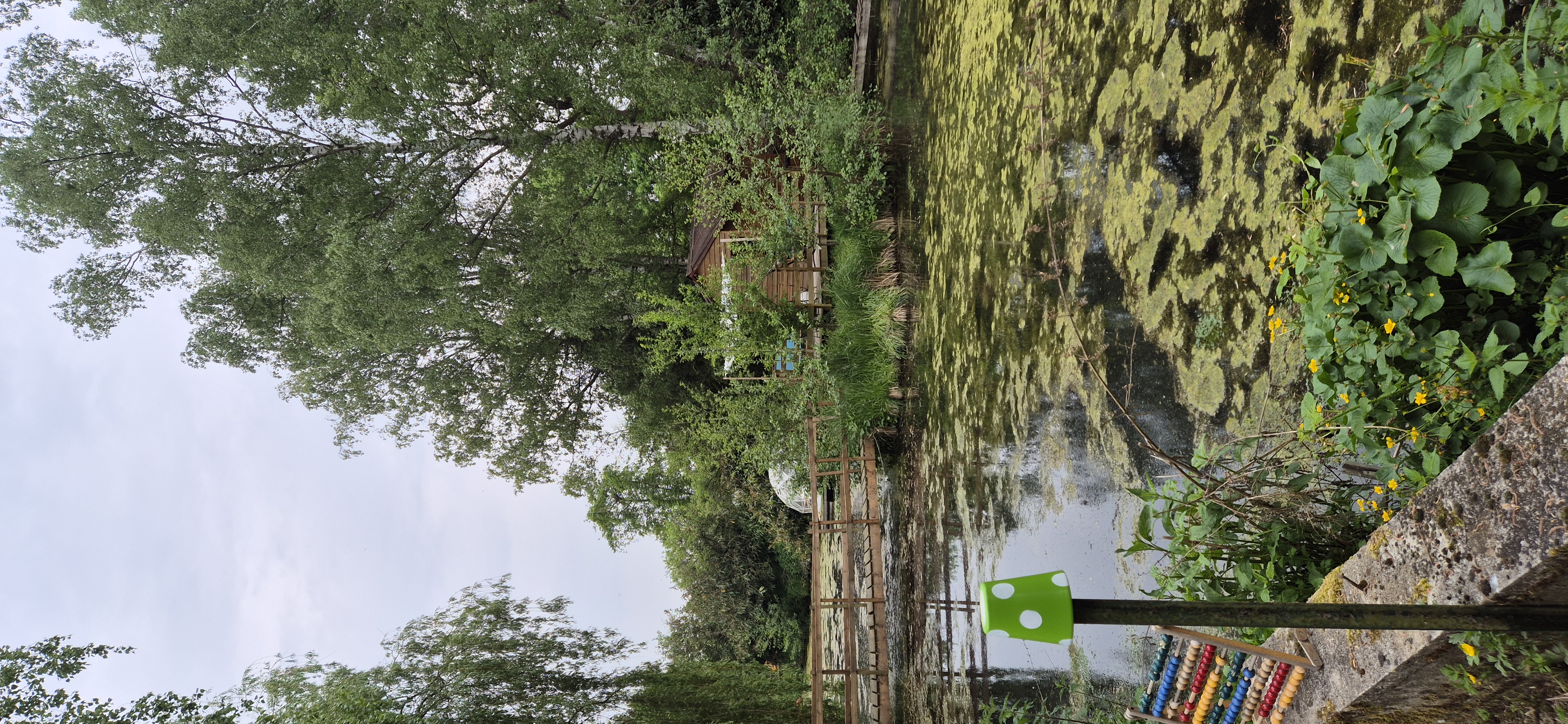 La Tête dans les Étoiles