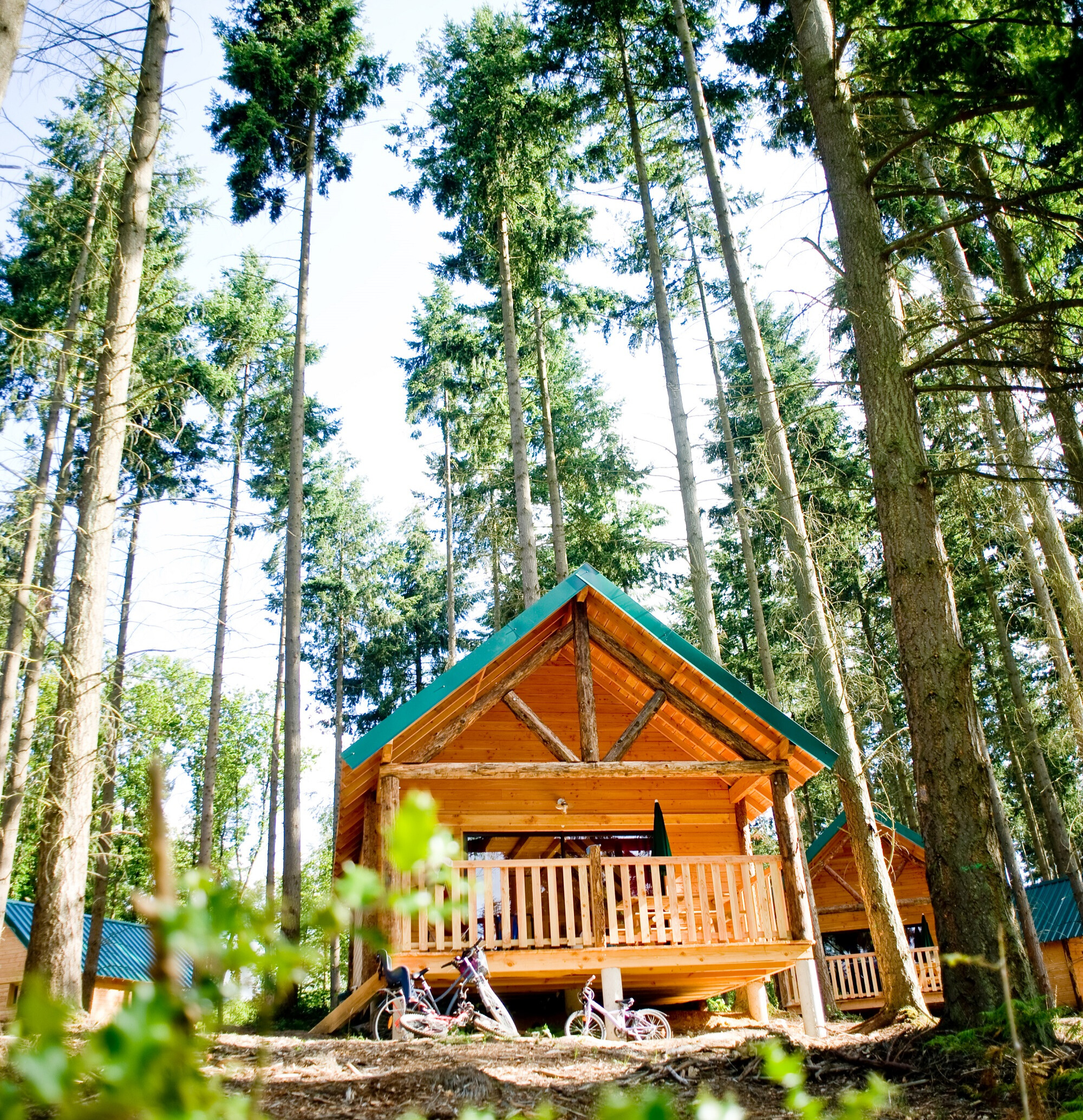 Cabane Senonches : une immersion au cœur de la nature