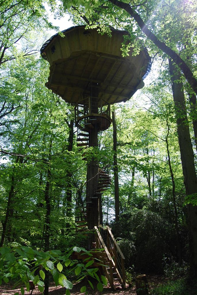 Cabane de la Canopée : une expérience suspendue dans les arbres à Magné — chambre
