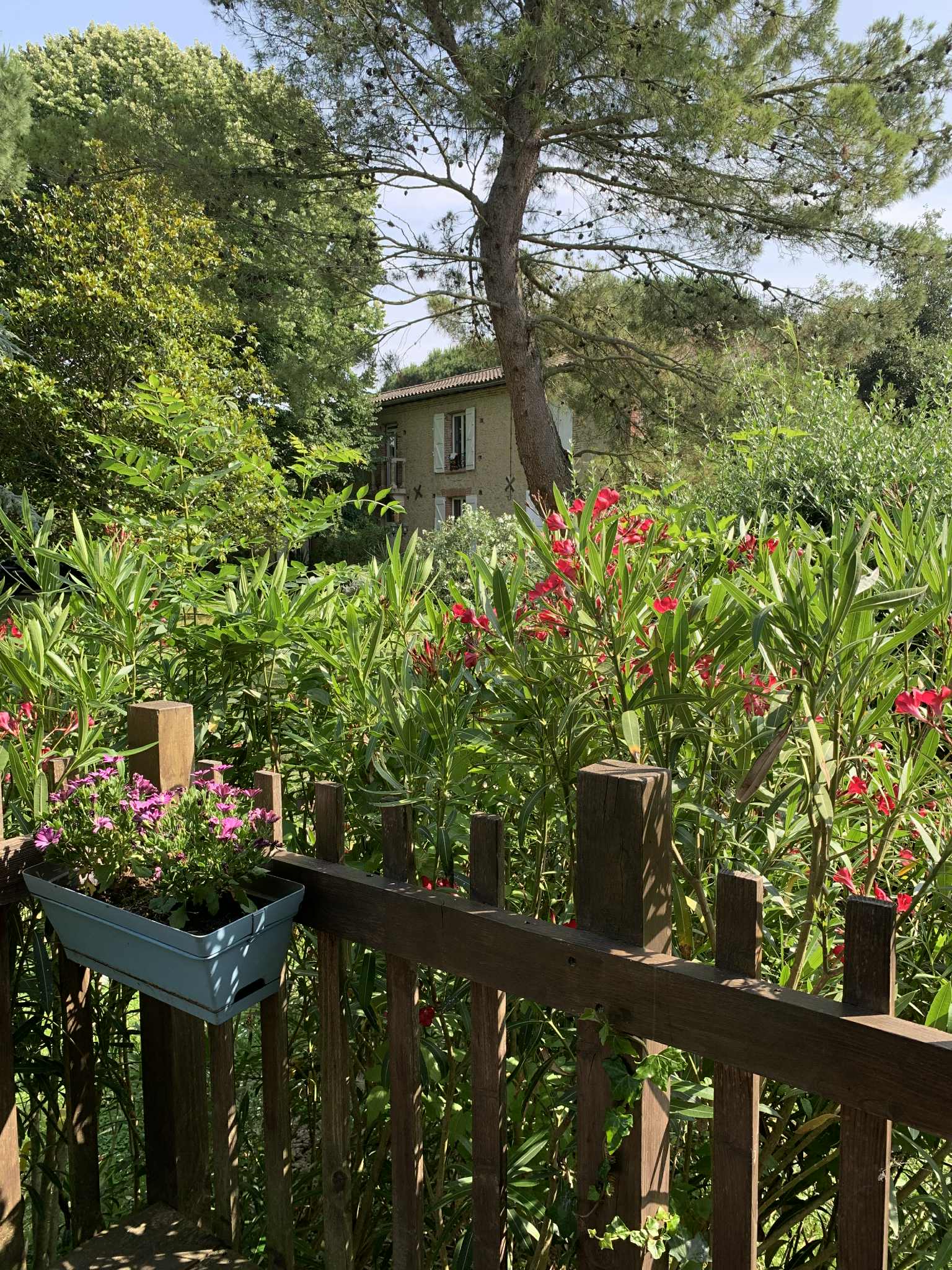 La Roulotte de l'écluse de Négra — Roulotte avec spa à Haute-Garonne à Montesquieu-Lauragais — vue depuis la terrasse