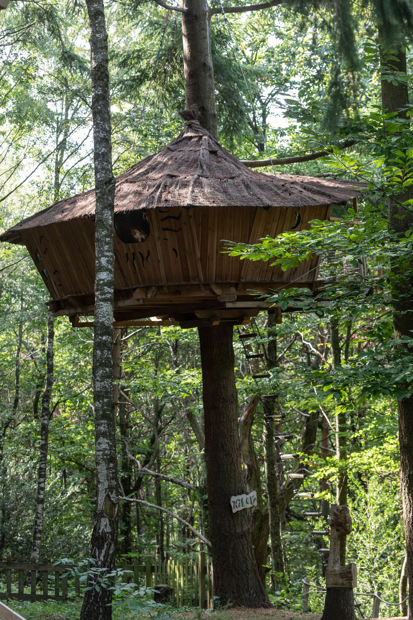 Cabane Hibou : une expérience suspendue dans les arbres