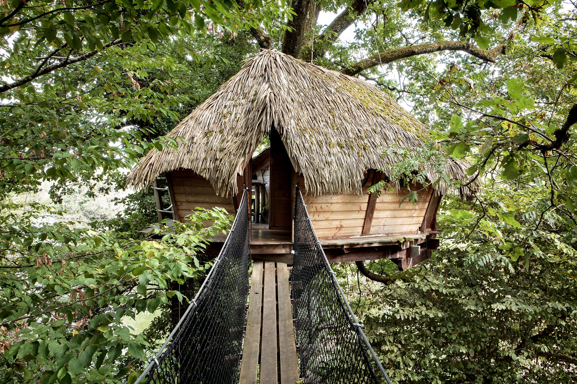 Cabane Extrême : une immersion dans les arbres en Franche-Comté à Chassey-Lès-Montbozon — vue intérieure