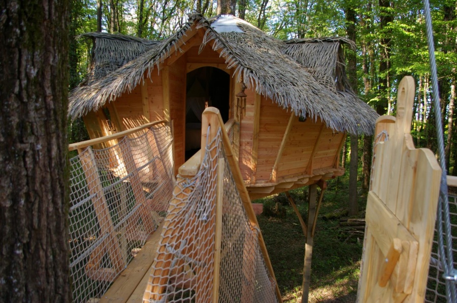 Cabane des Écureuils : une immersion dans les arbres