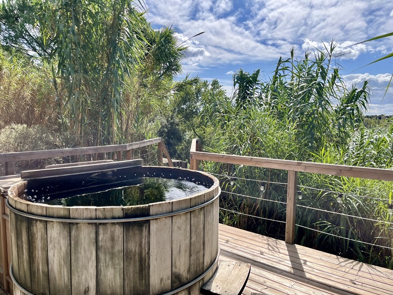 Cabane Spa Cosmos : une évasion végétalisée en Provence à Sorgues — salle de bain
