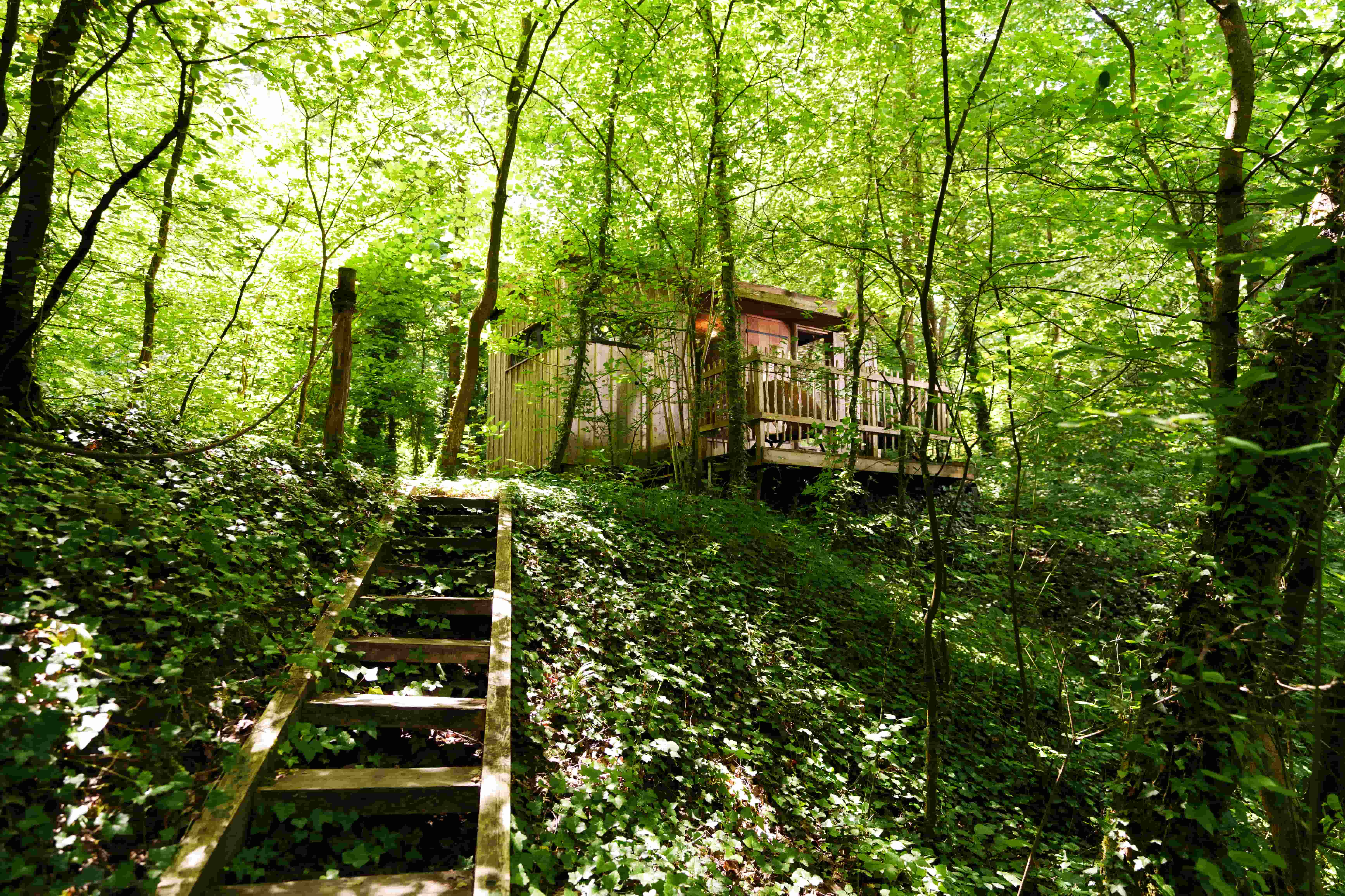 Cabane Spa Indigo : une escapade enchantée en Picardie