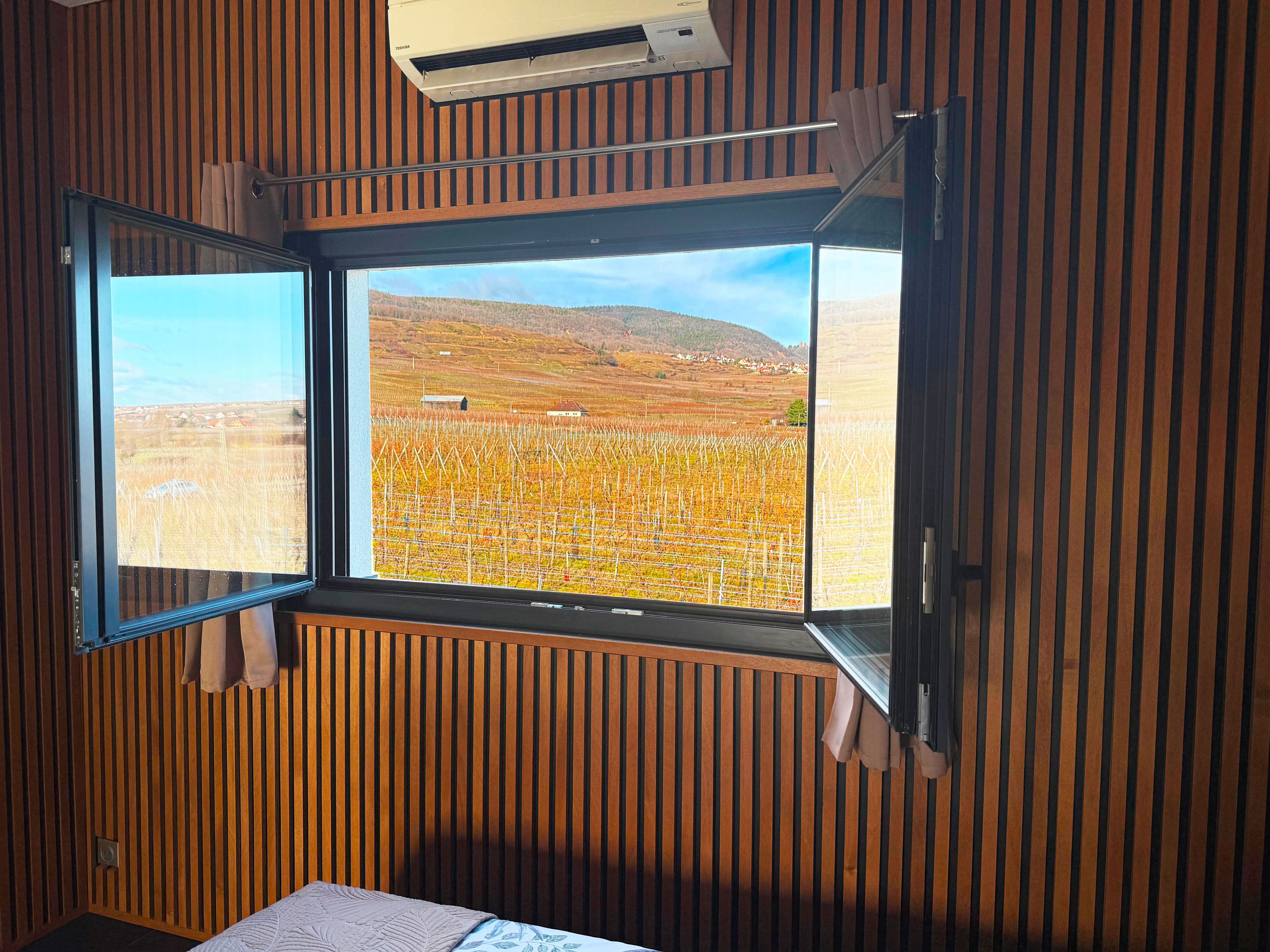 L'Inattendue — Suite élégante avec spa à Gueberschwihr (Haut-Rhin) à Gueberschwihr — environnement naturel