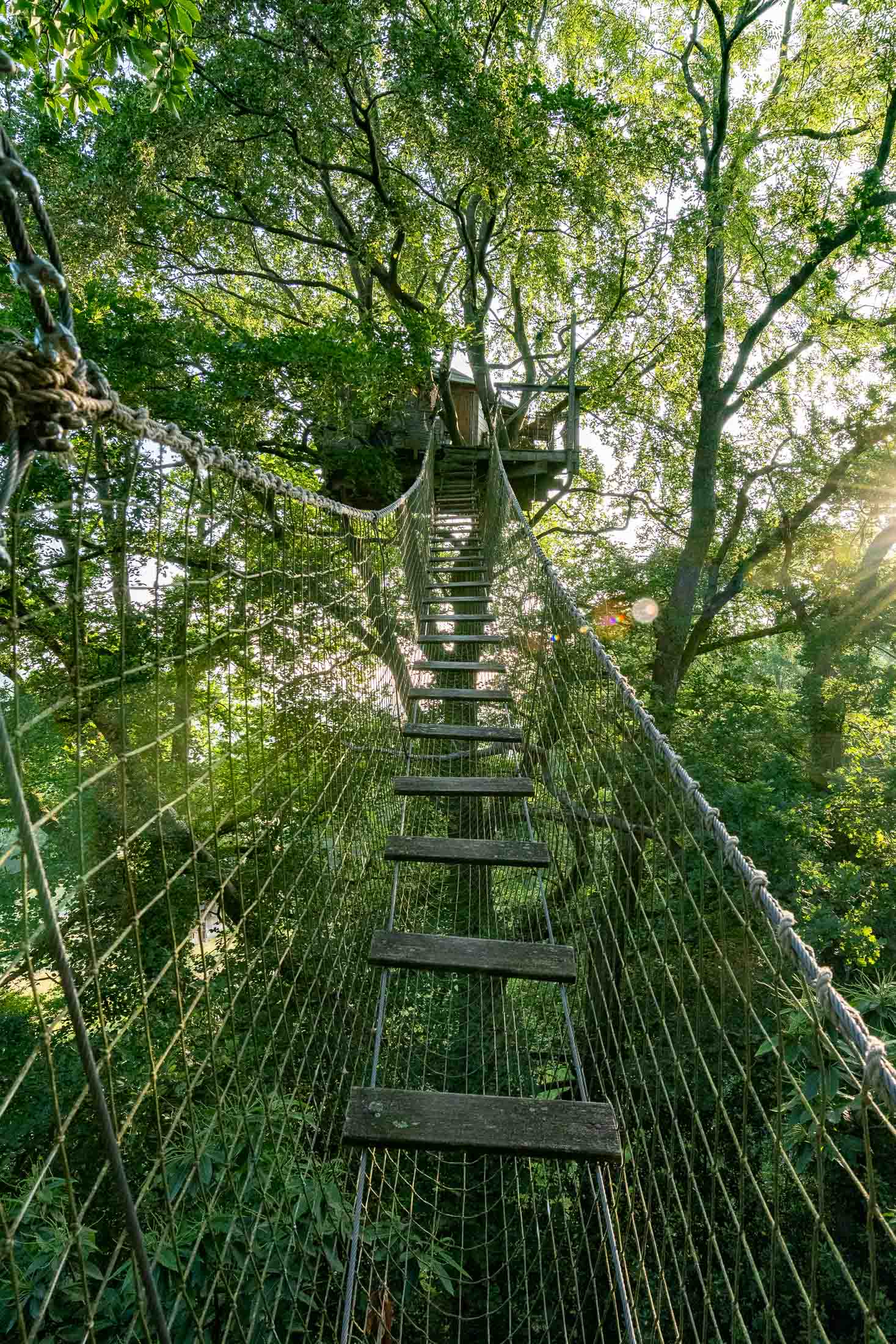 Cabane Grand Duc — Nuit perchée à 21m dans les arbres en Calvados à Noues de Sienne — vue intérieure
