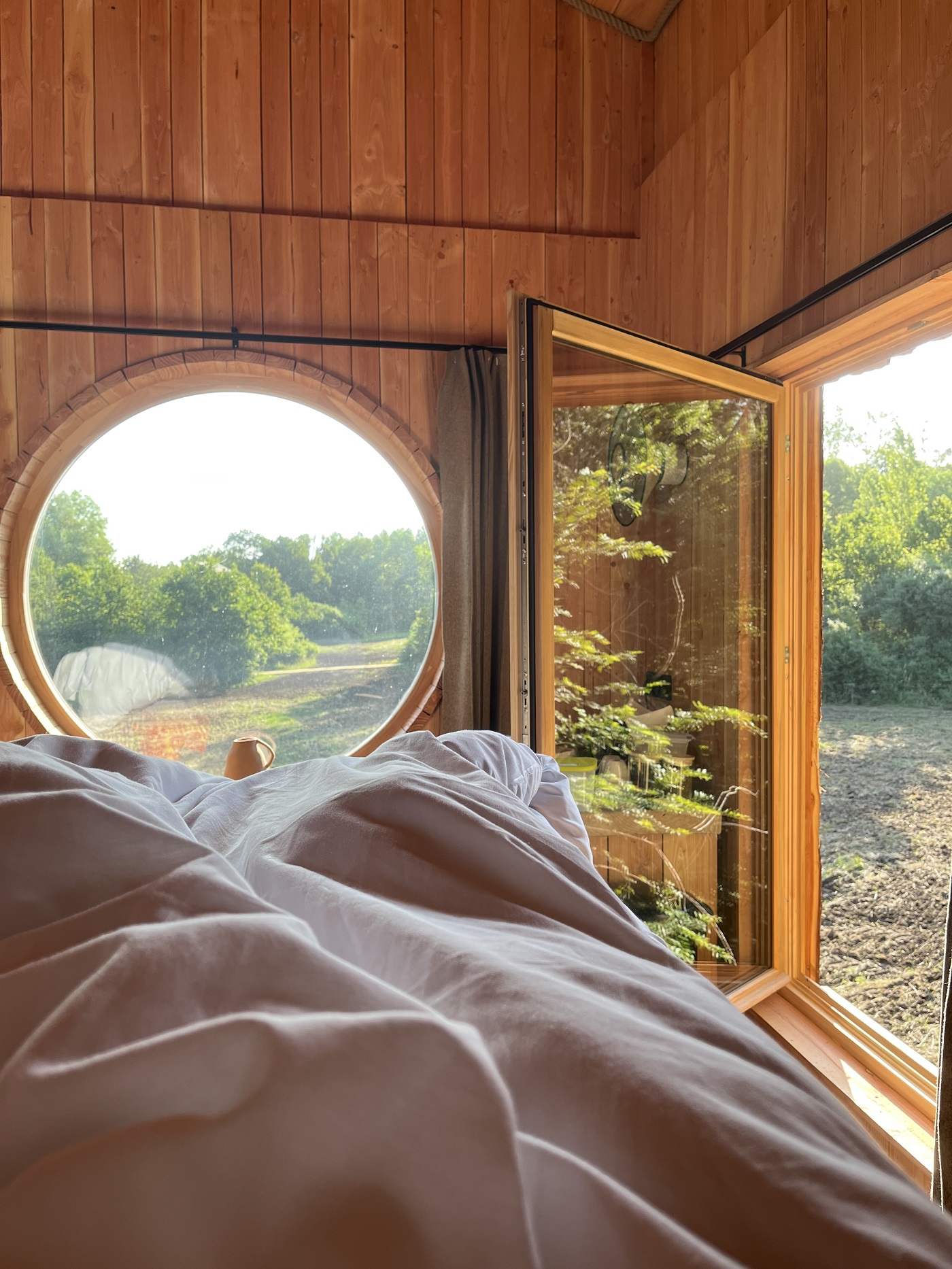 Cabane Spa Repaire du Trappeur : une immersion en Picardie à St-Léger-Aux-Bois — vue depuis la terrasse