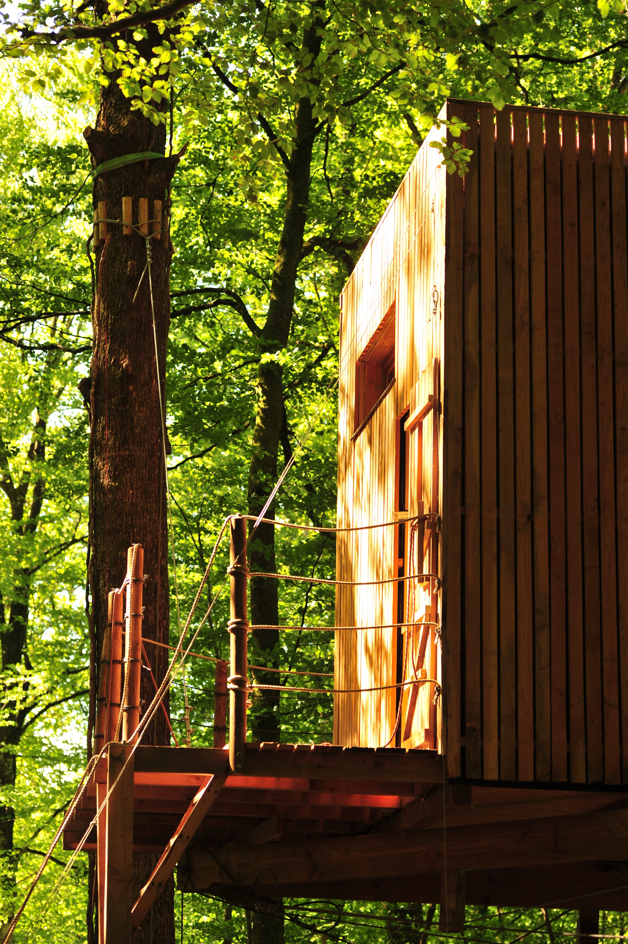 La Cabane du Héron : une expérience immersive dans les arbres à Mont Sous Vaudrey — vue intérieure