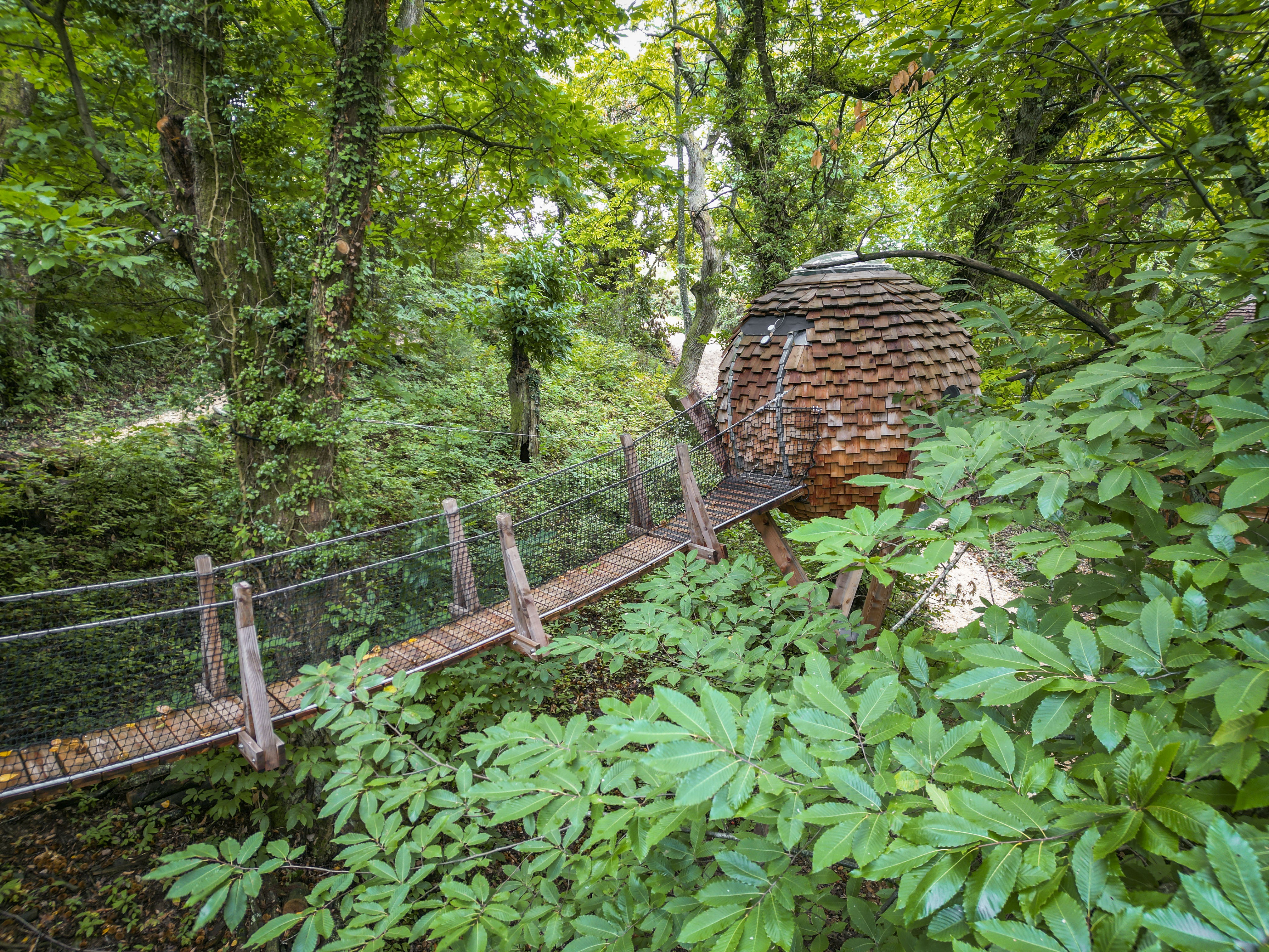 Évasion dans une cabane SPA Lov'nid en Rhône-Alpes à Gillonnay — vue depuis la terrasse