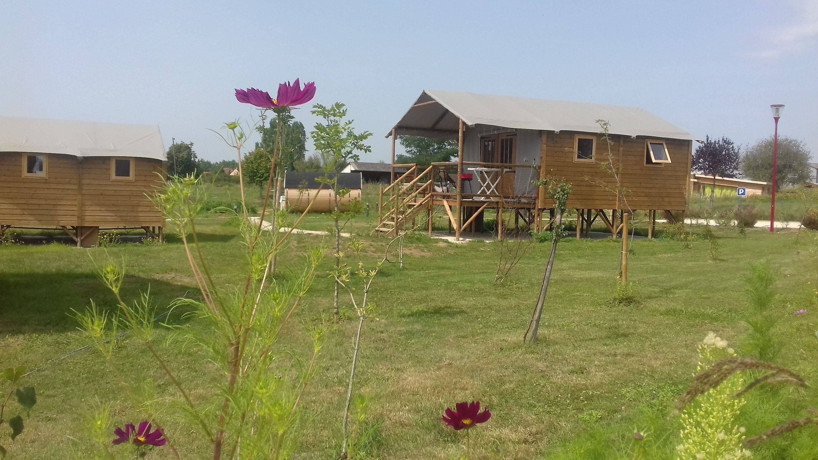 Un lodge sur pilotis Africa pour une expérience immersive en pleine nature