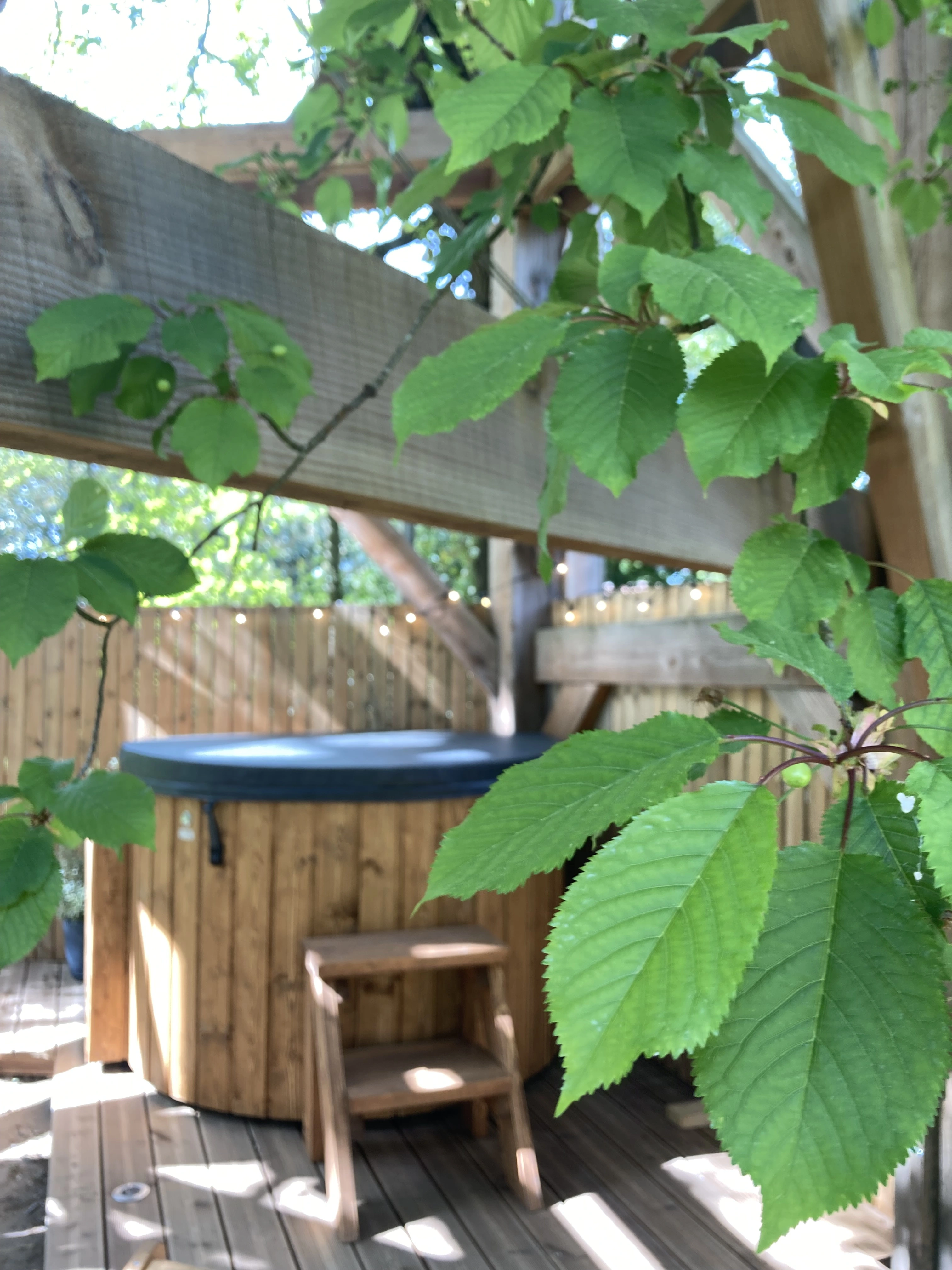 La Cabane du Verger & Spa : une évasion dans les arbres à La Chapelle Aux Naux — cuisine