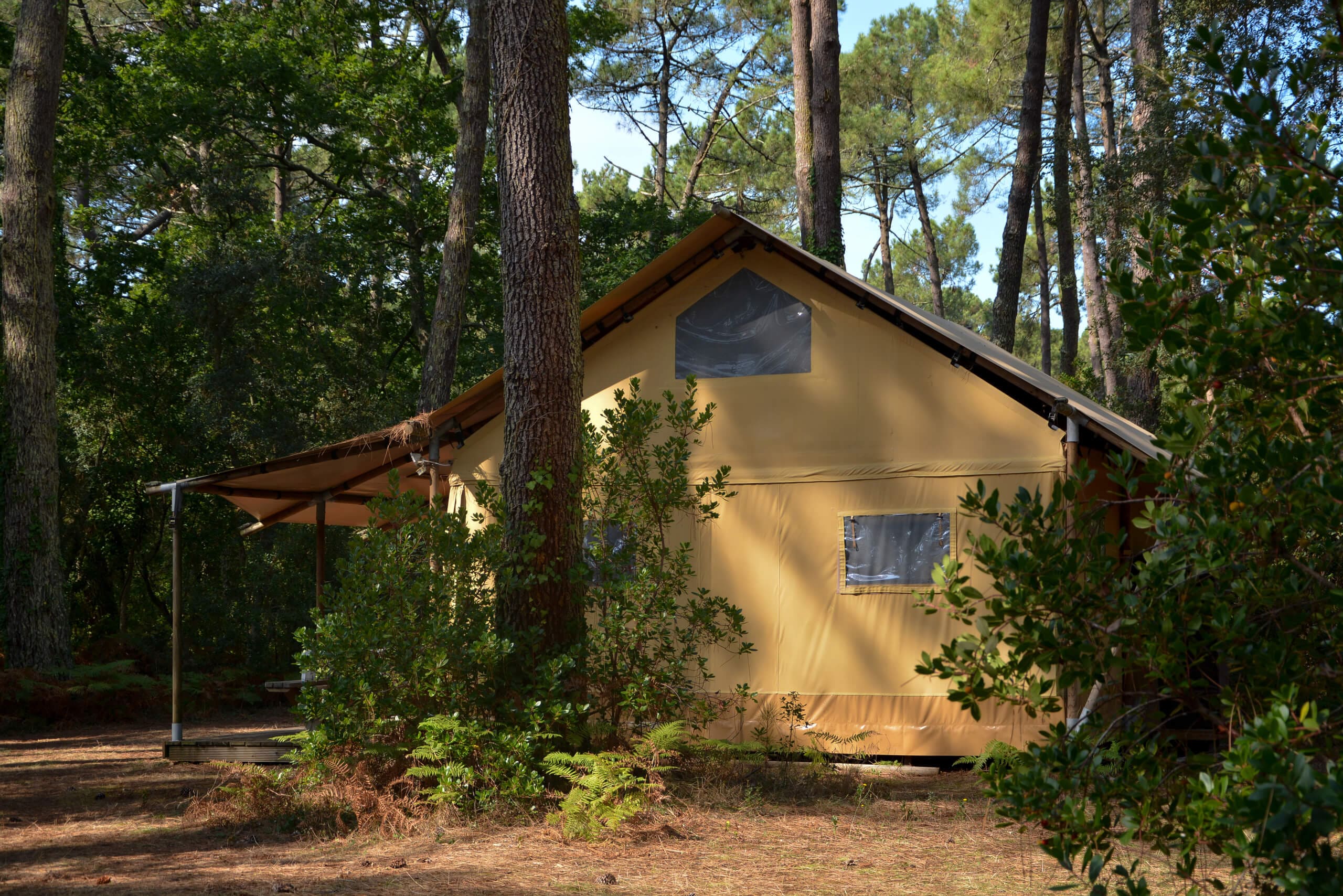 Le Grand Lodge — Tente lodge avec spa à Biscarrosse (Landes) à Biscarrosse — environnement naturel
