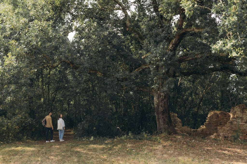 Cocon de verre avec Bain Nordique