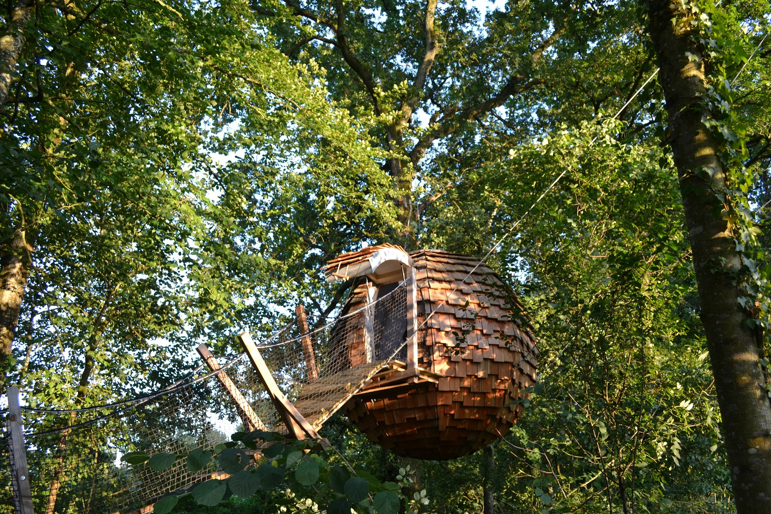 Cabane Lov'Nid Spa : une évasion sensorielle en pleine nature à La Baconnière — espace de vie