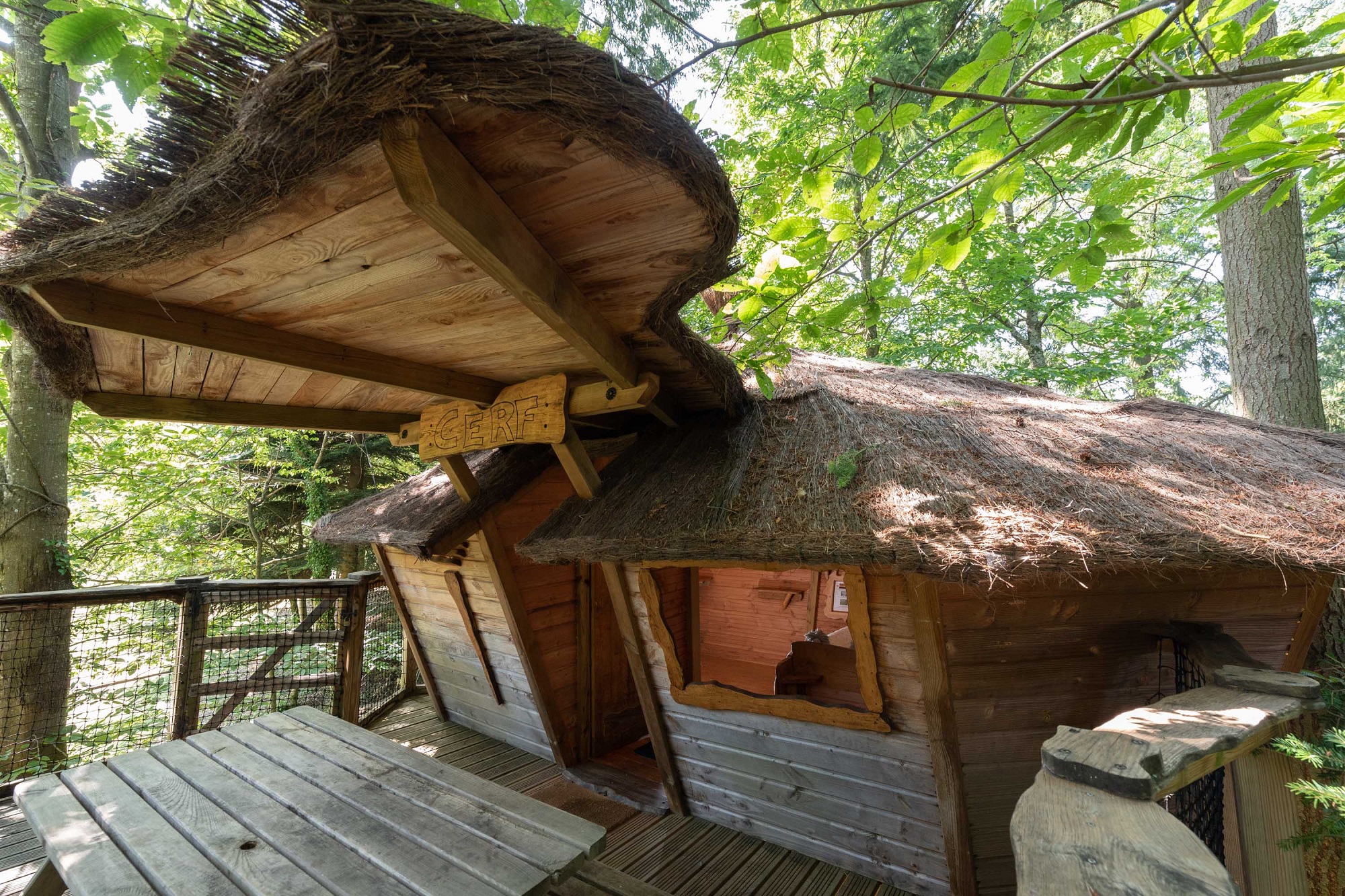 Cabane Cerf : une expérience suspendue dans les arbres