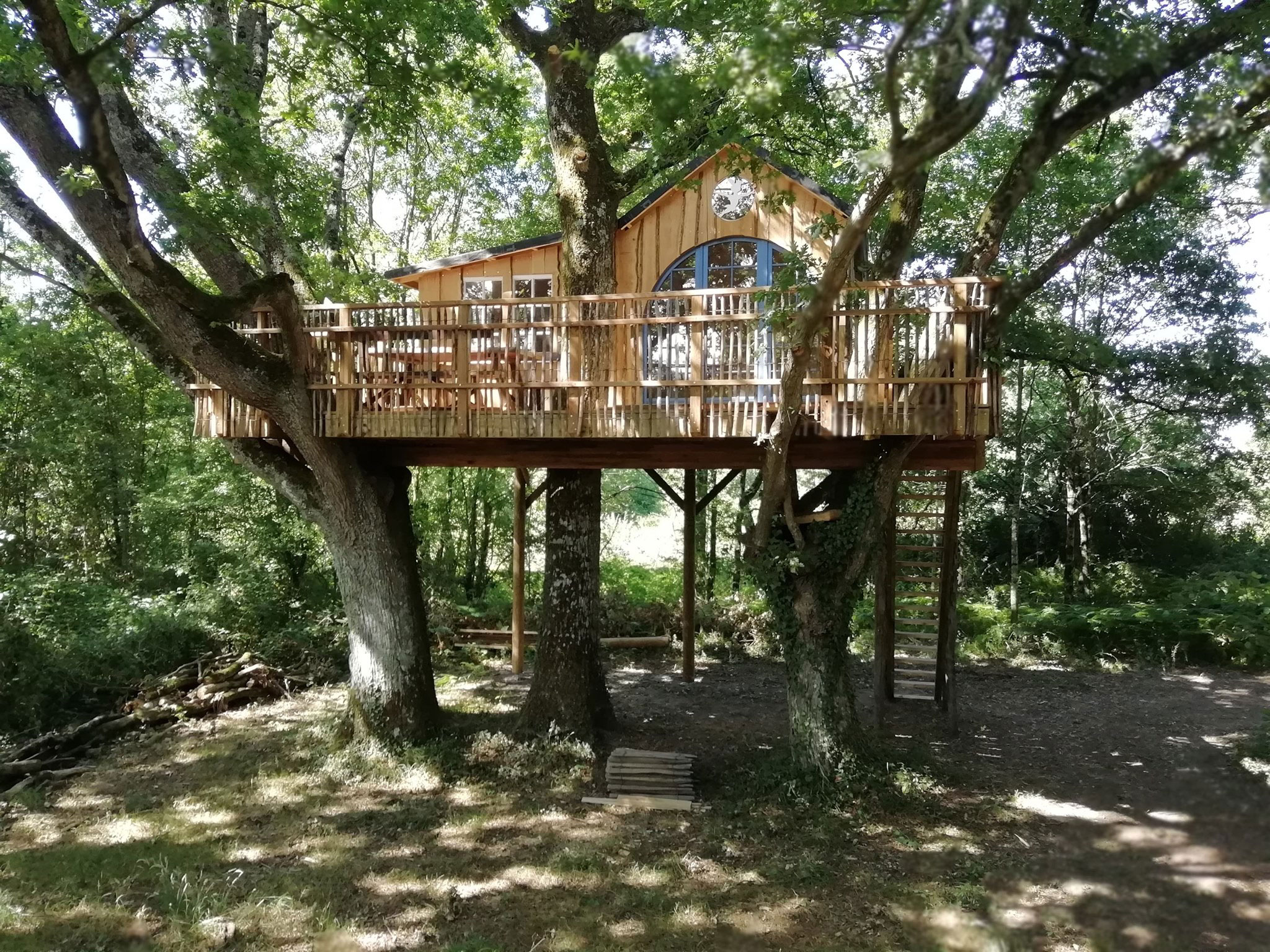 La Cabane Peter Pan : une échappée enchantée dans les arbres