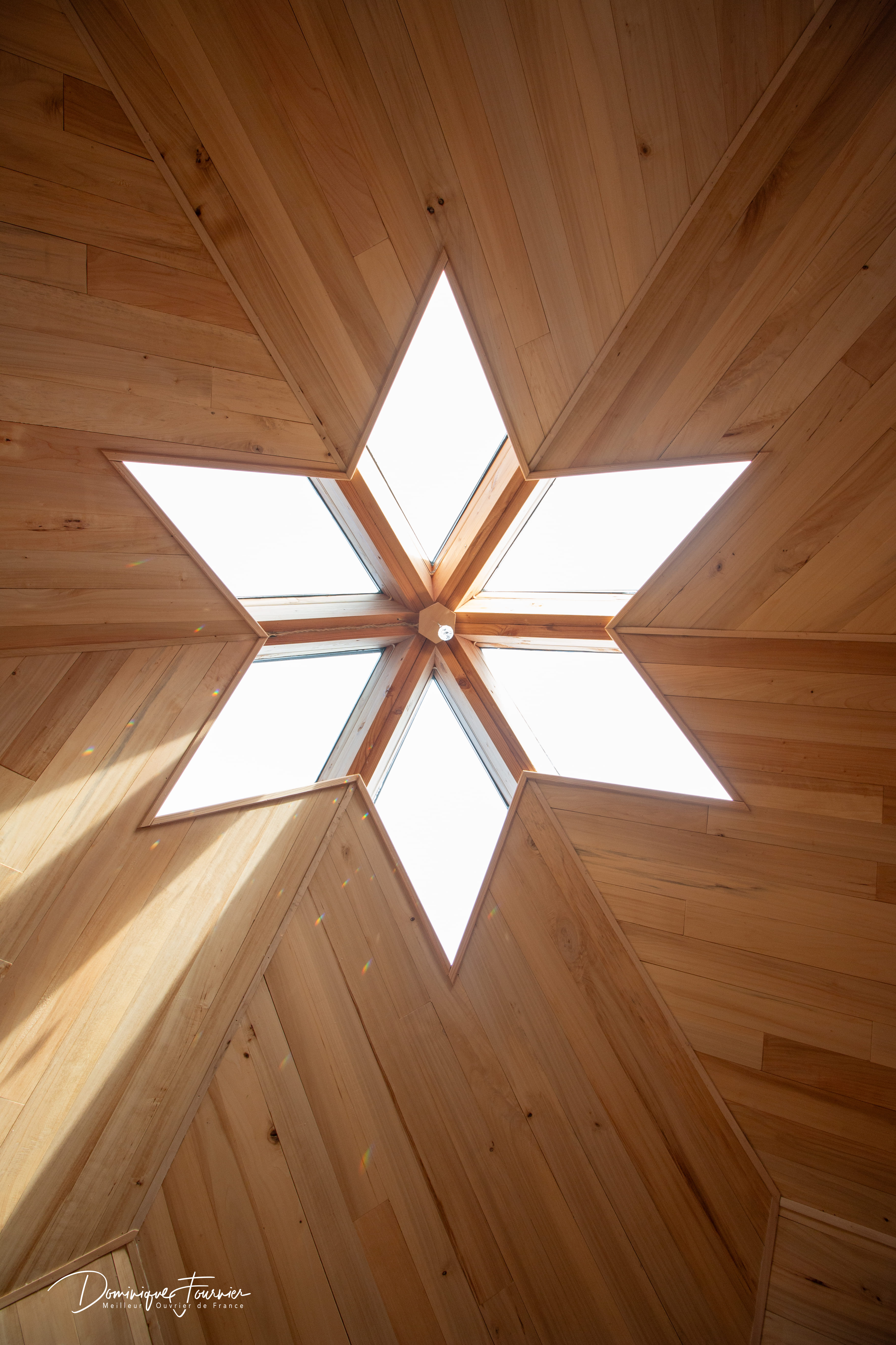 Apizome - Vue panoramique sur les Pyrénées
