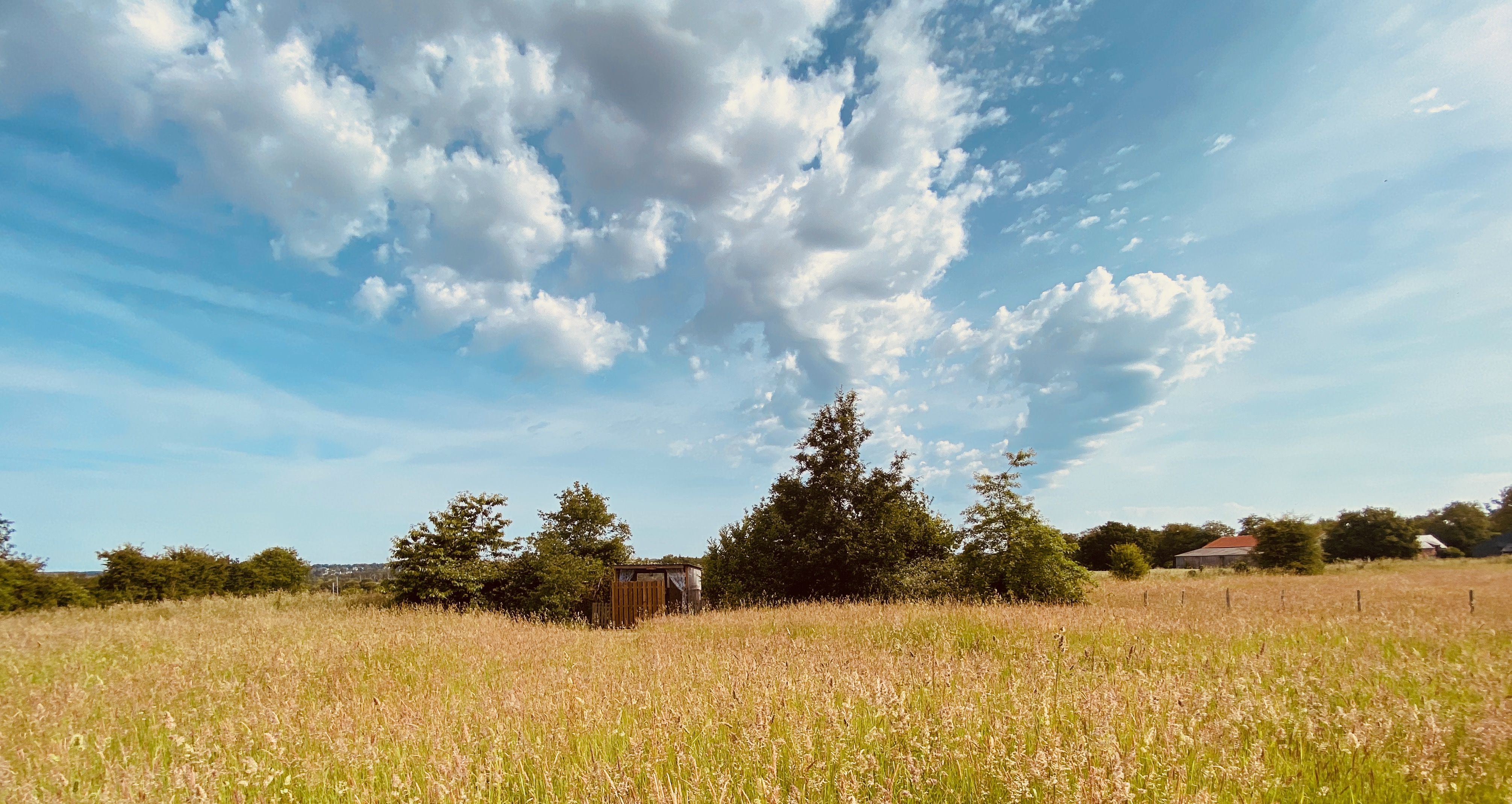 Sunny Lodge : une expérience immersive en pleine nature à Saint Nicolas De Redon — espace de vie