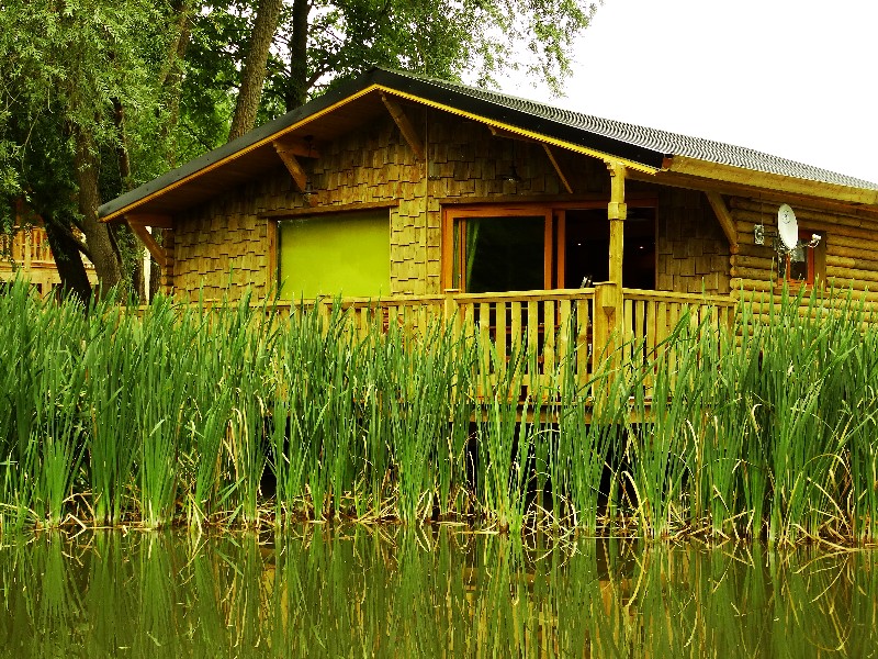 La Cabane du Grizzli : une échappée belle sur pilotis en Picardie à Cessières-Suzy — vue intérieure