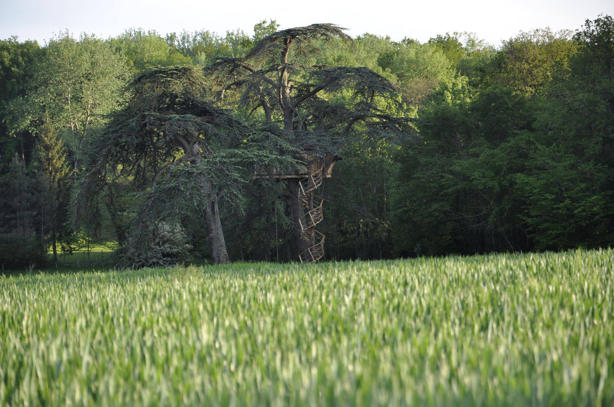 Cabane Africaine : une expérience suspendue dans les arbres à Ballan-Miré — salle de bain