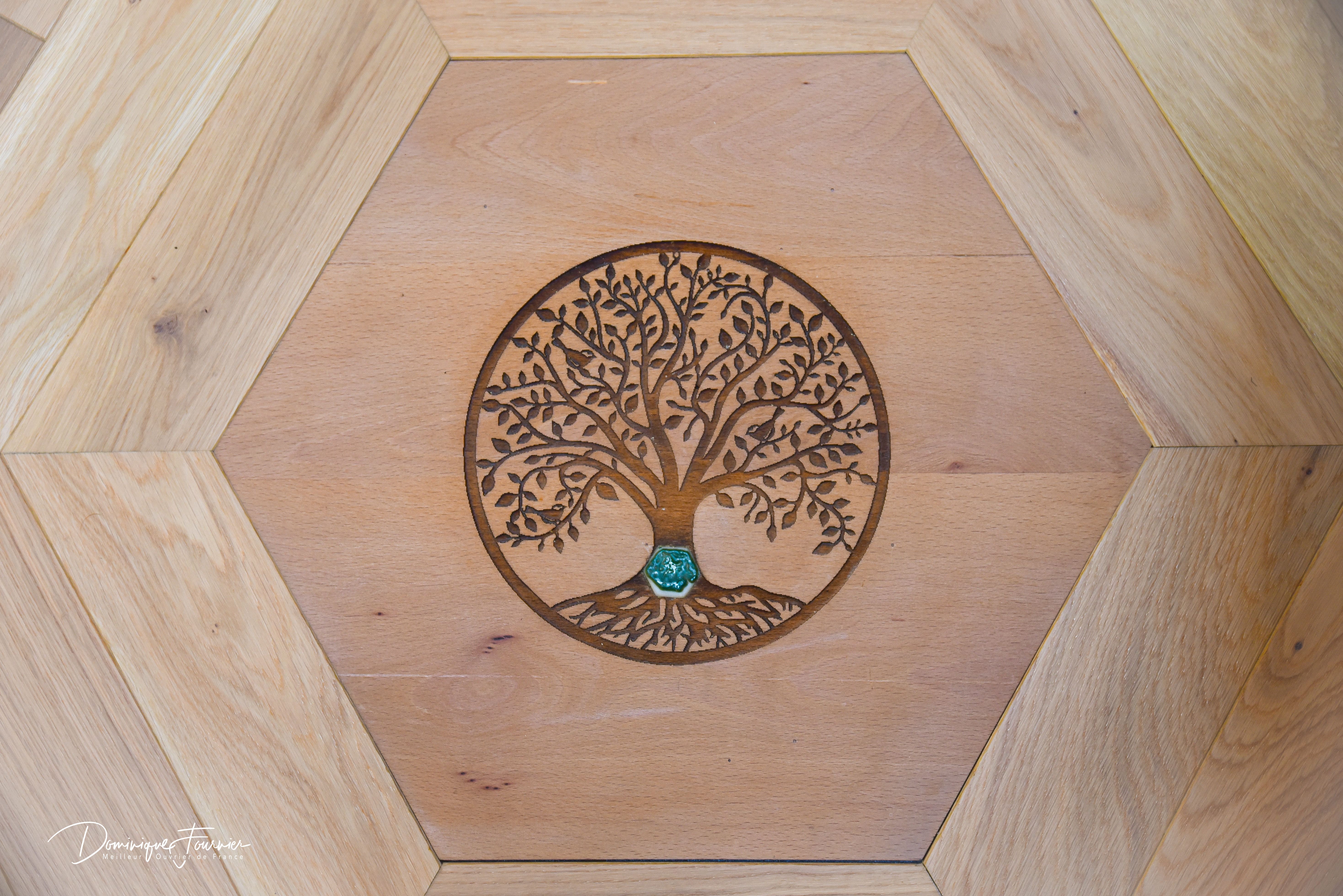 Apizome - Vue panoramique sur les Pyrénées