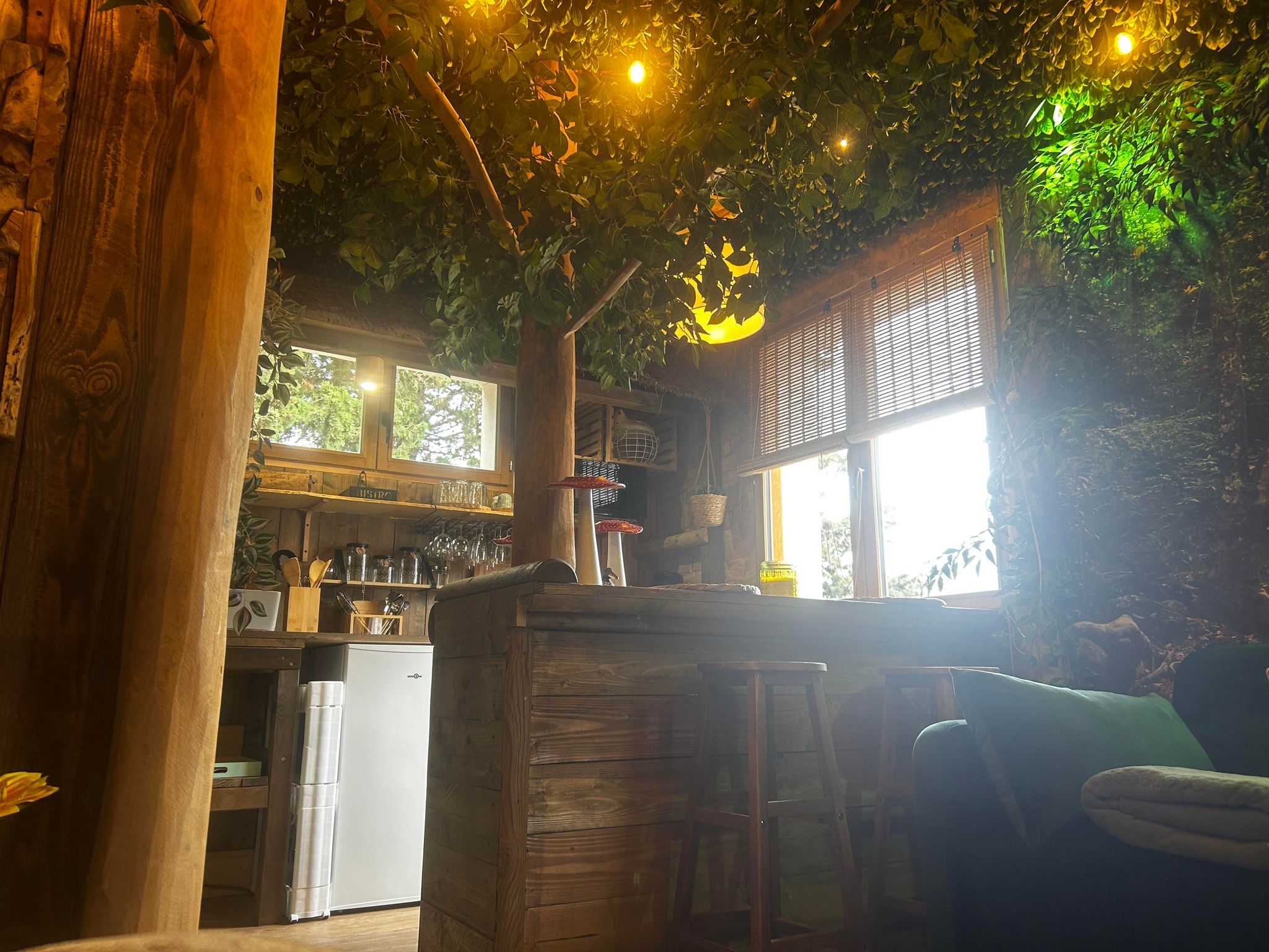 La Jungle Room de Paulette — Chambre à thème avec spa à Pau à Pau — espace de vie