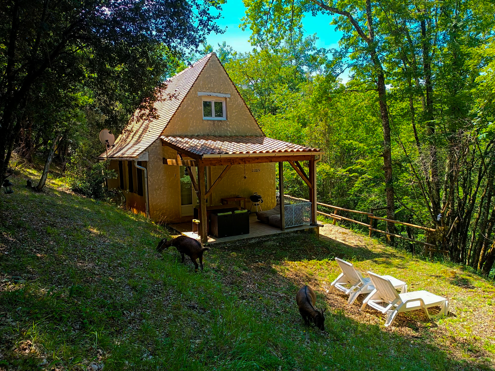 Gîte dans les bois au cœur du Périgord noir