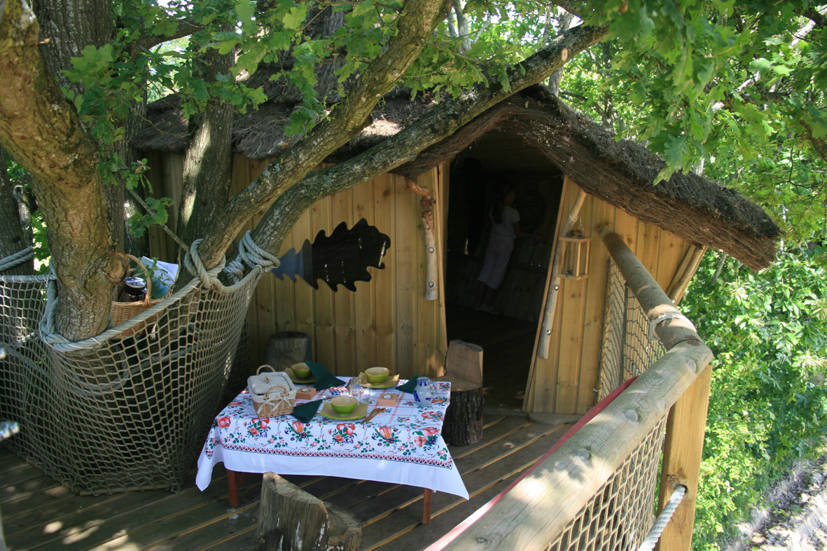 Cabane des Cartes : une expérience suspendue dans les arbres à La Baconnière — vue intérieure