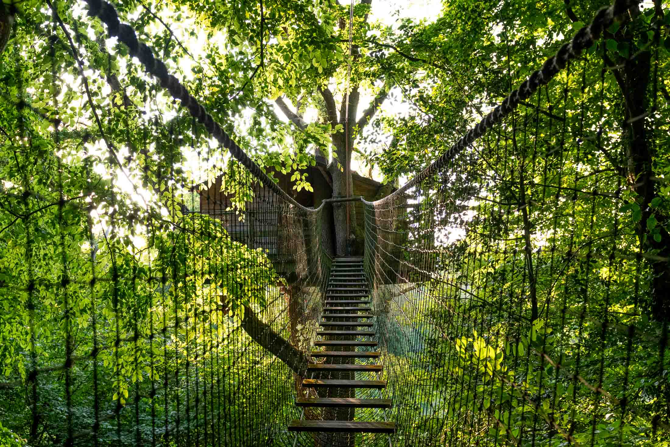 Cabane Rossignol — Nuit perchée à 10m dans les arbres en Calvados — Cabane dans les arbres à Caen