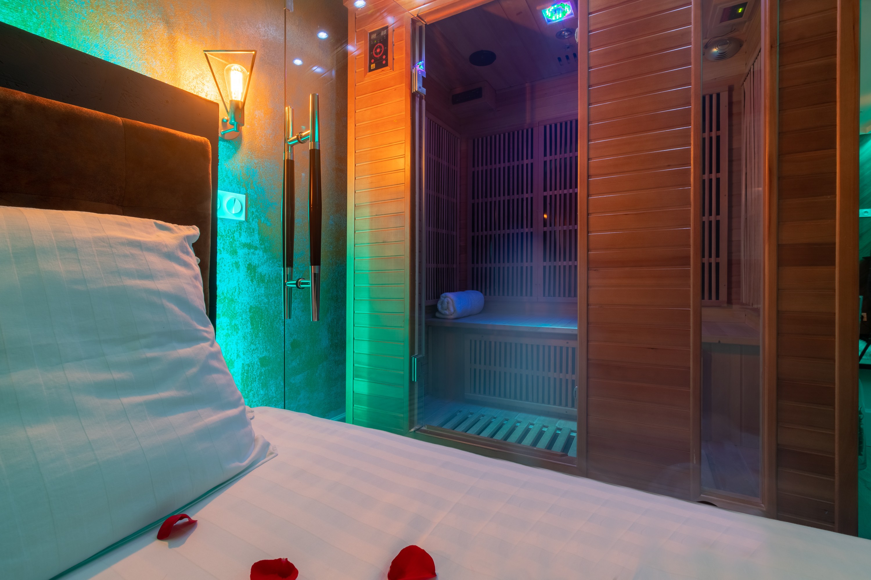 Glam Appart Spa Cosy — Appartement avec jacuzzi à Côte-d'Or à Dijon — vue depuis la terrasse