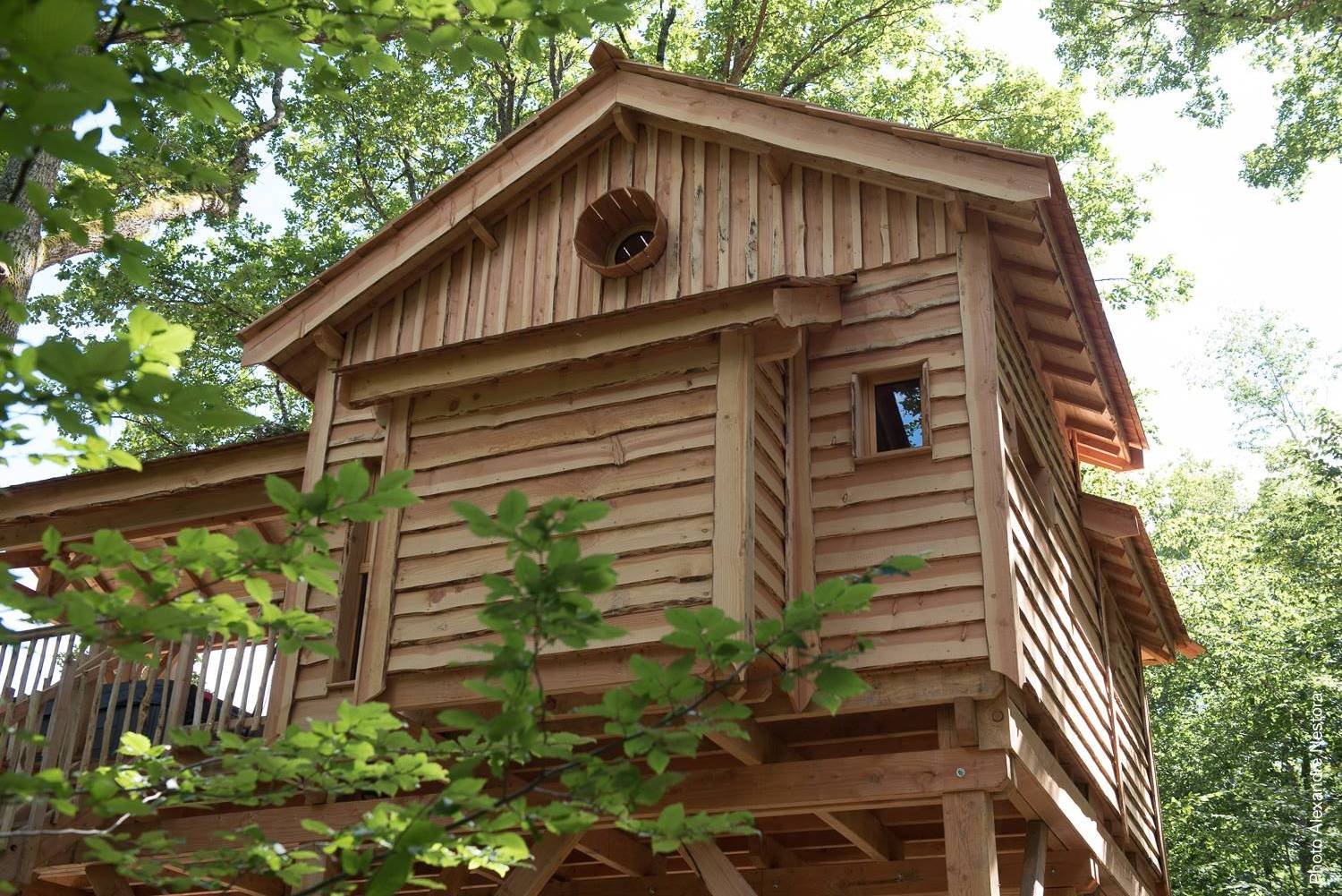 La Cabane de l'Etang & Spa : une évasion dans les arbres à La Bussiere — environnement naturel