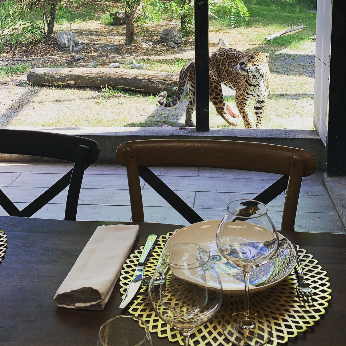 Lodge Jaguars : une immersion thématique en Aquitaine à Pessac — cuisine