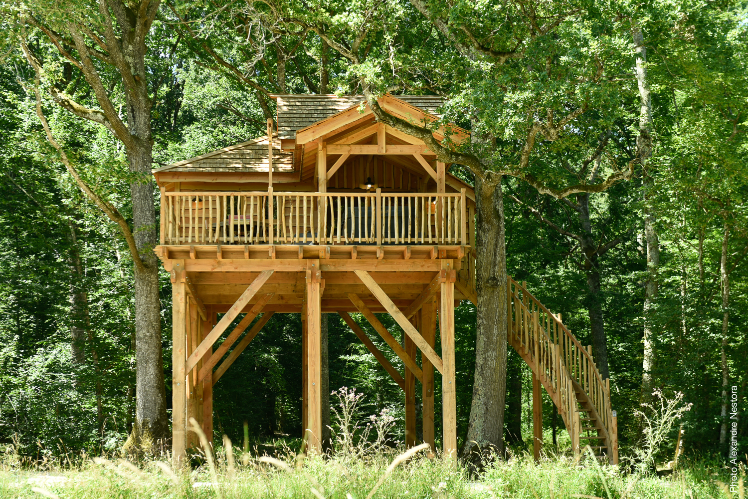 La Cabane de l'Etang & Spa : une évasion dans les arbres à La Bussiere — vue depuis la terrasse