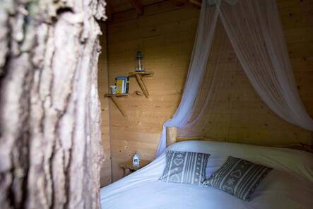 A la Folie : une cabane perchée au cœur de l'Aquitaine à Coulx — environnement naturel
