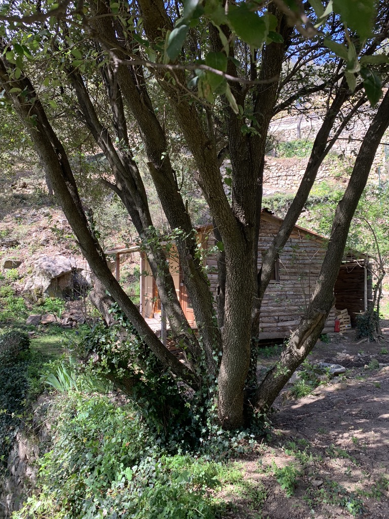 Ermitage — Ecolodge avec spa à Gard à Alès — espace de vie