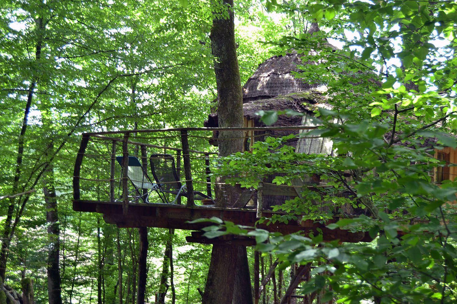 Cabane Mandubienne : une expérience suspendue dans les arbres